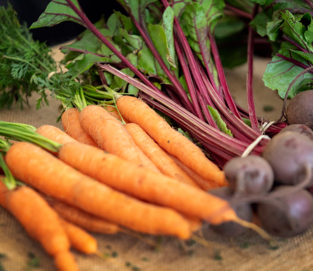 Ett knippe morötter ligger på en träskiva intill två knippen rödbetor. 