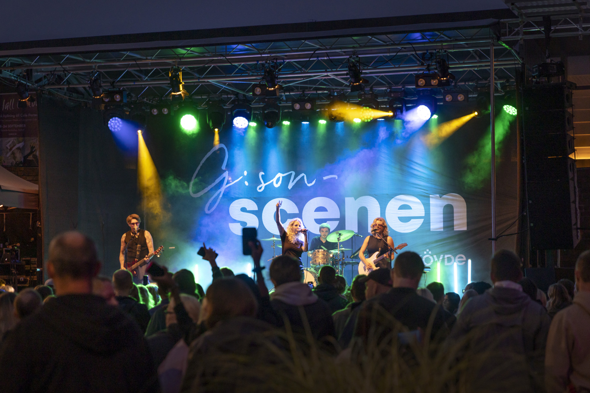 Publikhav framför scen. 