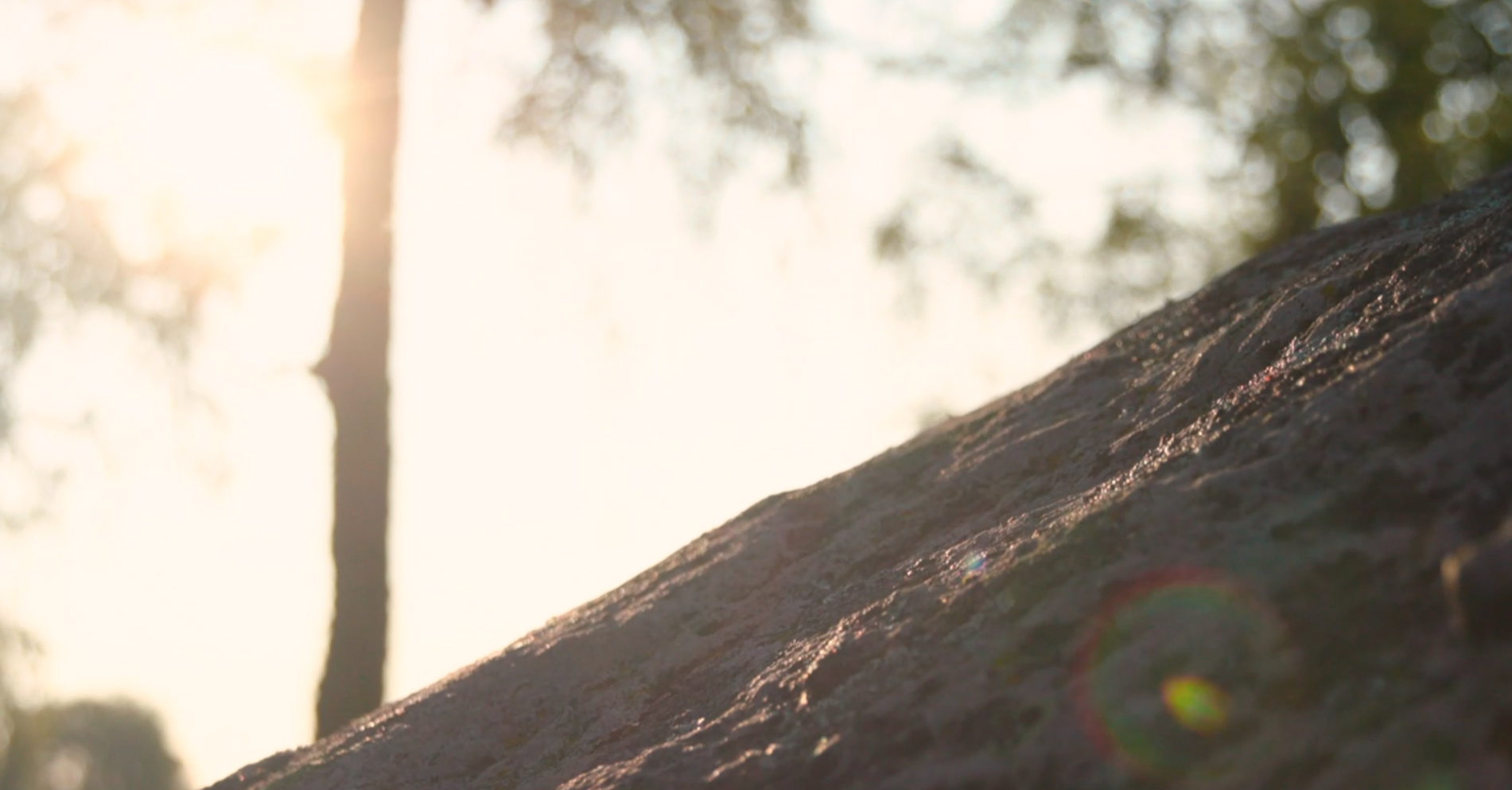 Närbild på en sten i mjuk motljus