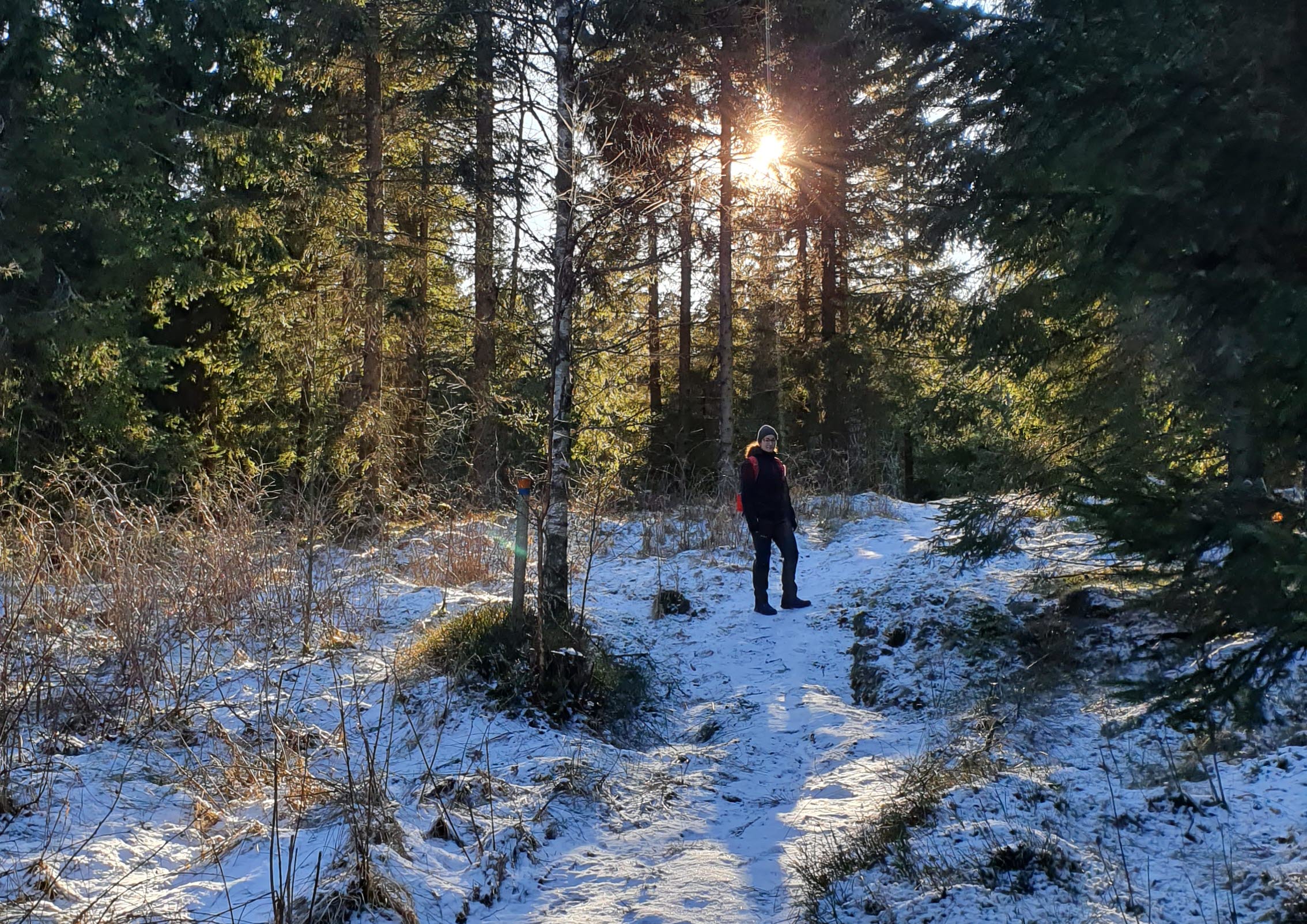 En kvinna står på en stig i skogen med solen lysandes bakom henne. På marken ligger det ett tunt lager med snö. 