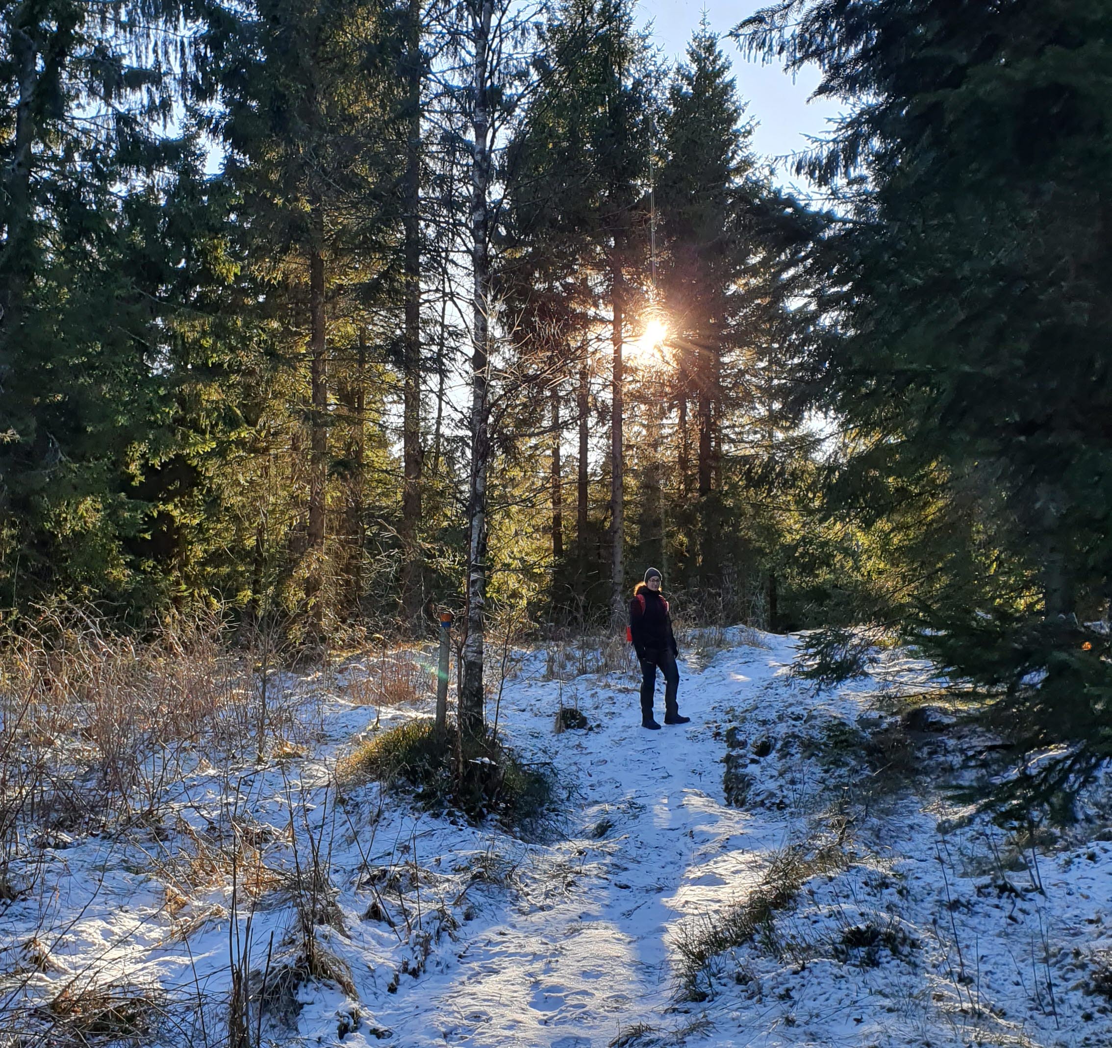 En kvinna står på en stig i skogen med solen lysandes bakom henne. På marken ligger det ett tunt lager med snö. 