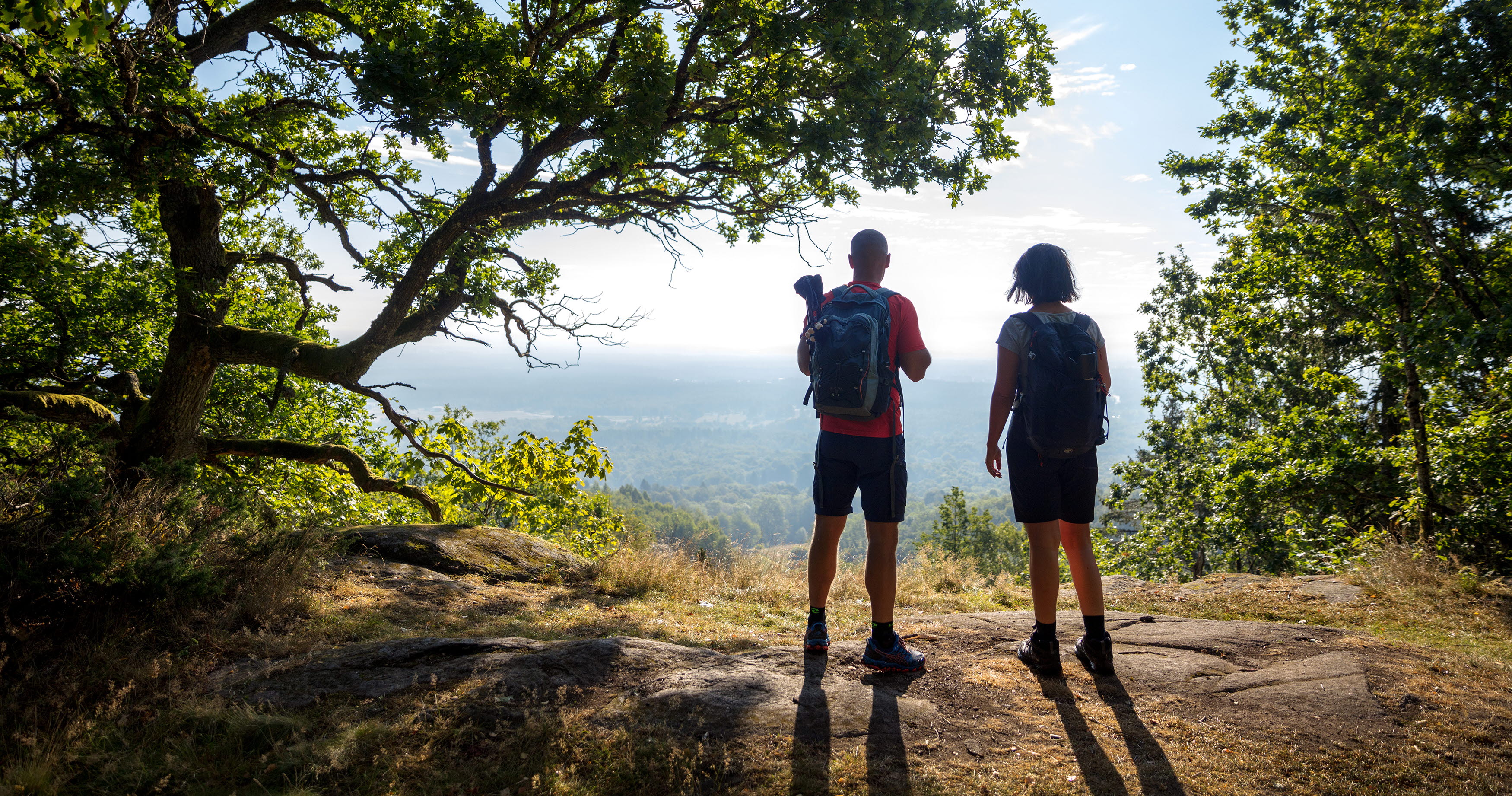 Två vandrare står vid kanten av ett berg i en skogsglänta och njuter av utsikten. 