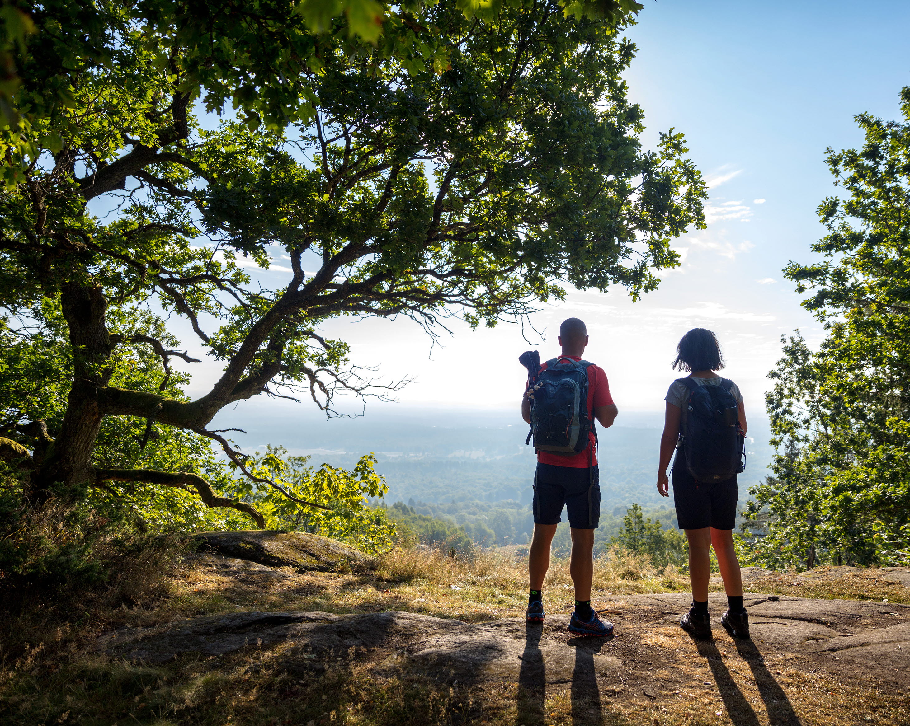 Två vandrare står vid kanten av ett berg i en skogsglänta och njuter av utsikten. 