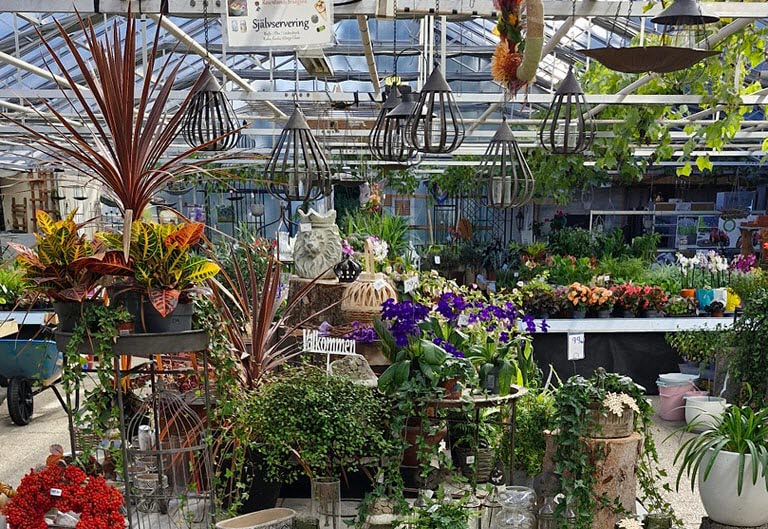 Insidan i ett stort växthus fullt med blommor och trädgårdsprylar till försäljning.