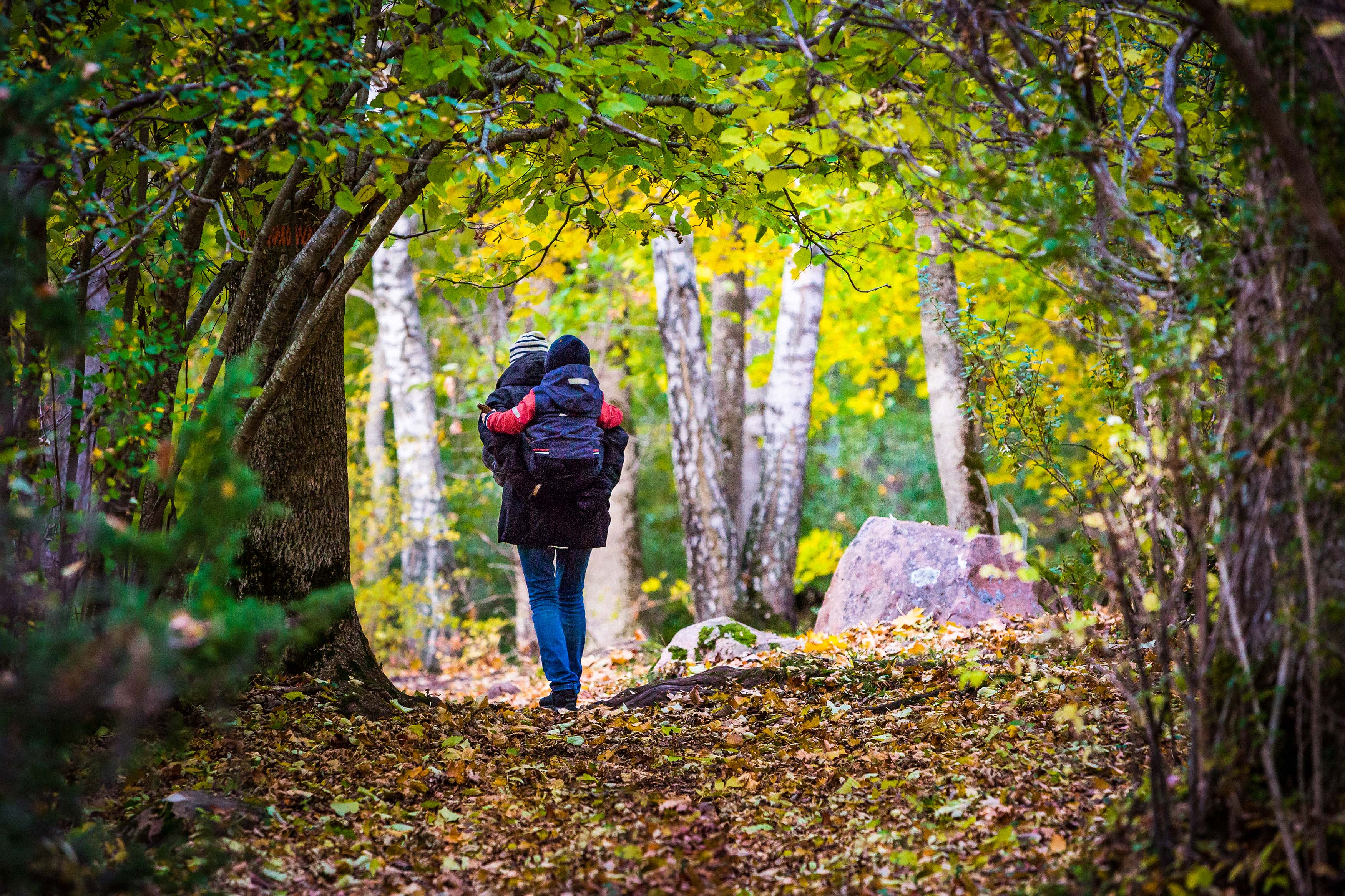 En mamma vandrar i en höstfärgad skog gåendes med sitt barn på ryggen. 