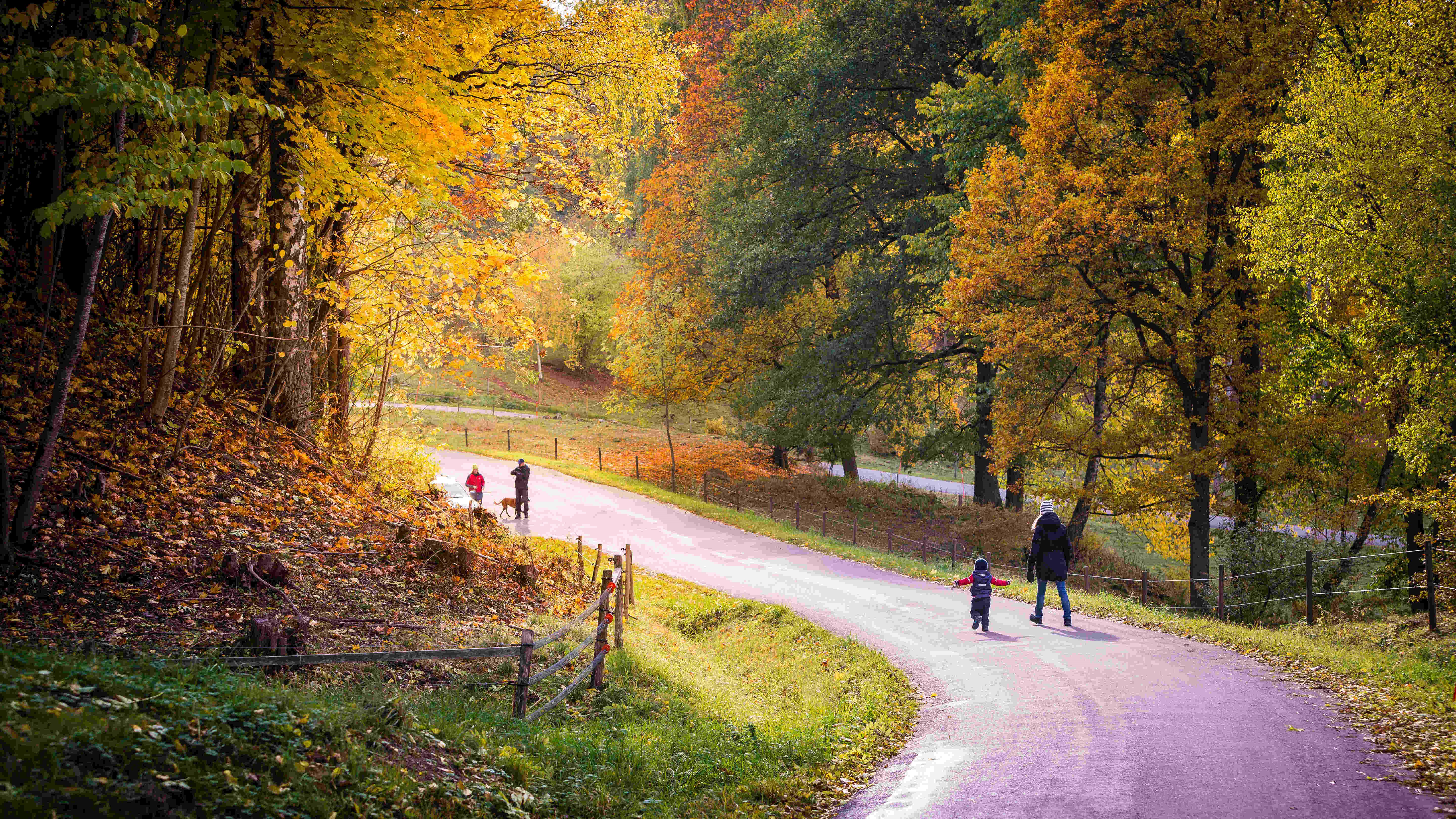En familj gåendes på vägen vid Silverfallet en färgsprakande höstdag.