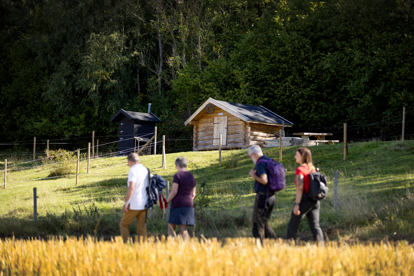 En grupp på fyra personer vandrar vid ett fält mot ett vindskydd som ligger på en höjd. 