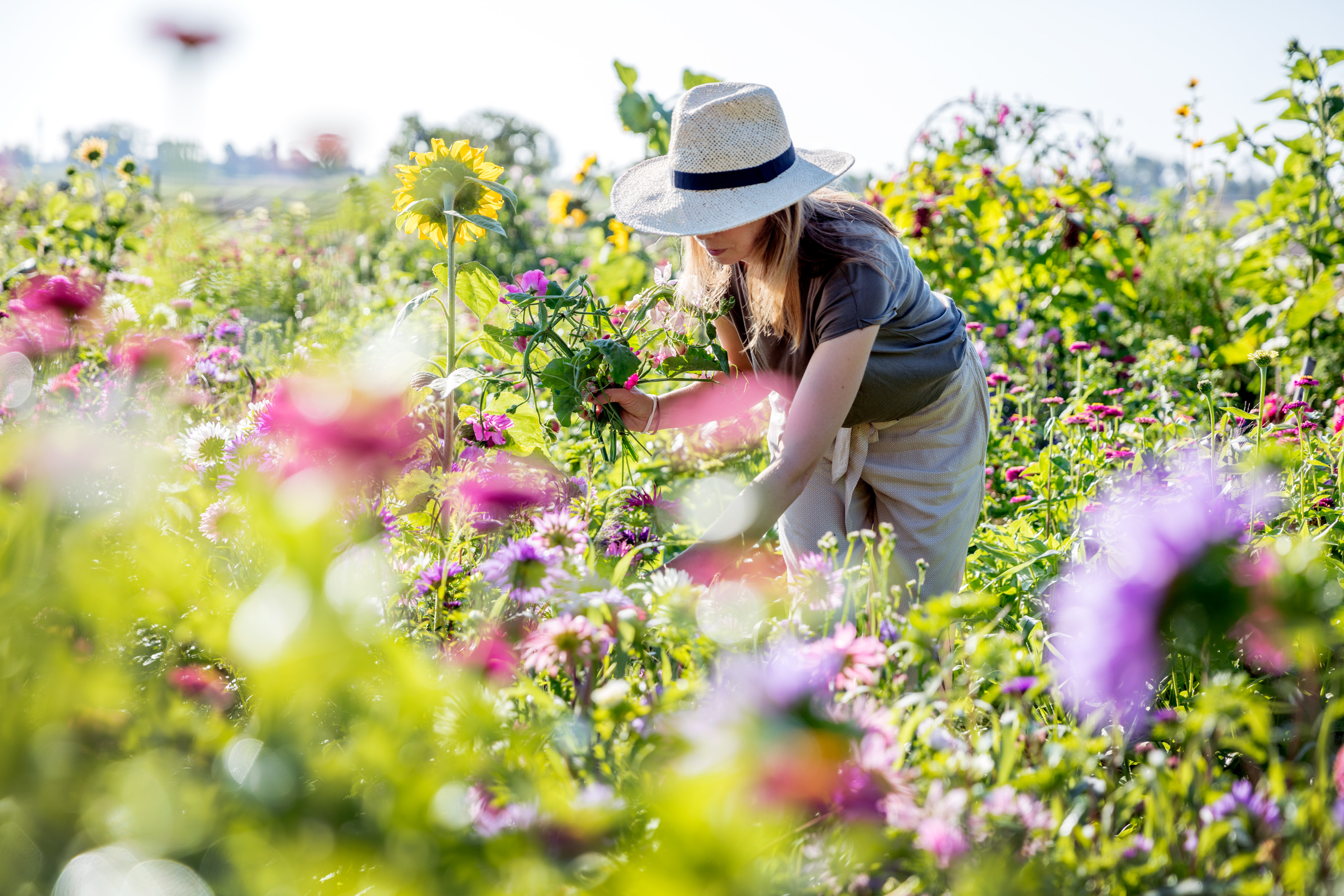 Kvinna i hatt plockar blommor på en äng