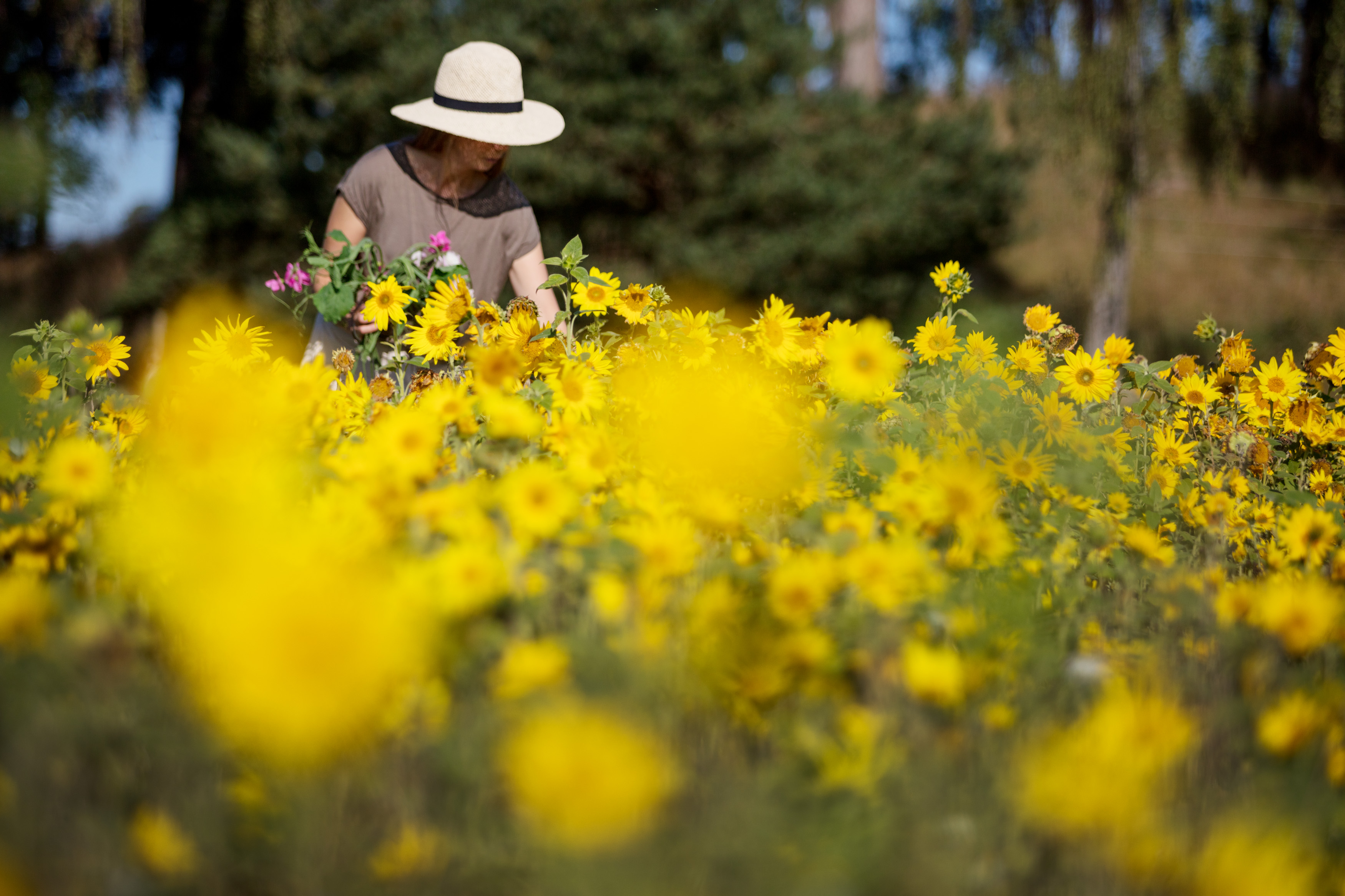 Kvinna i hatt plockar blommor på en äng
