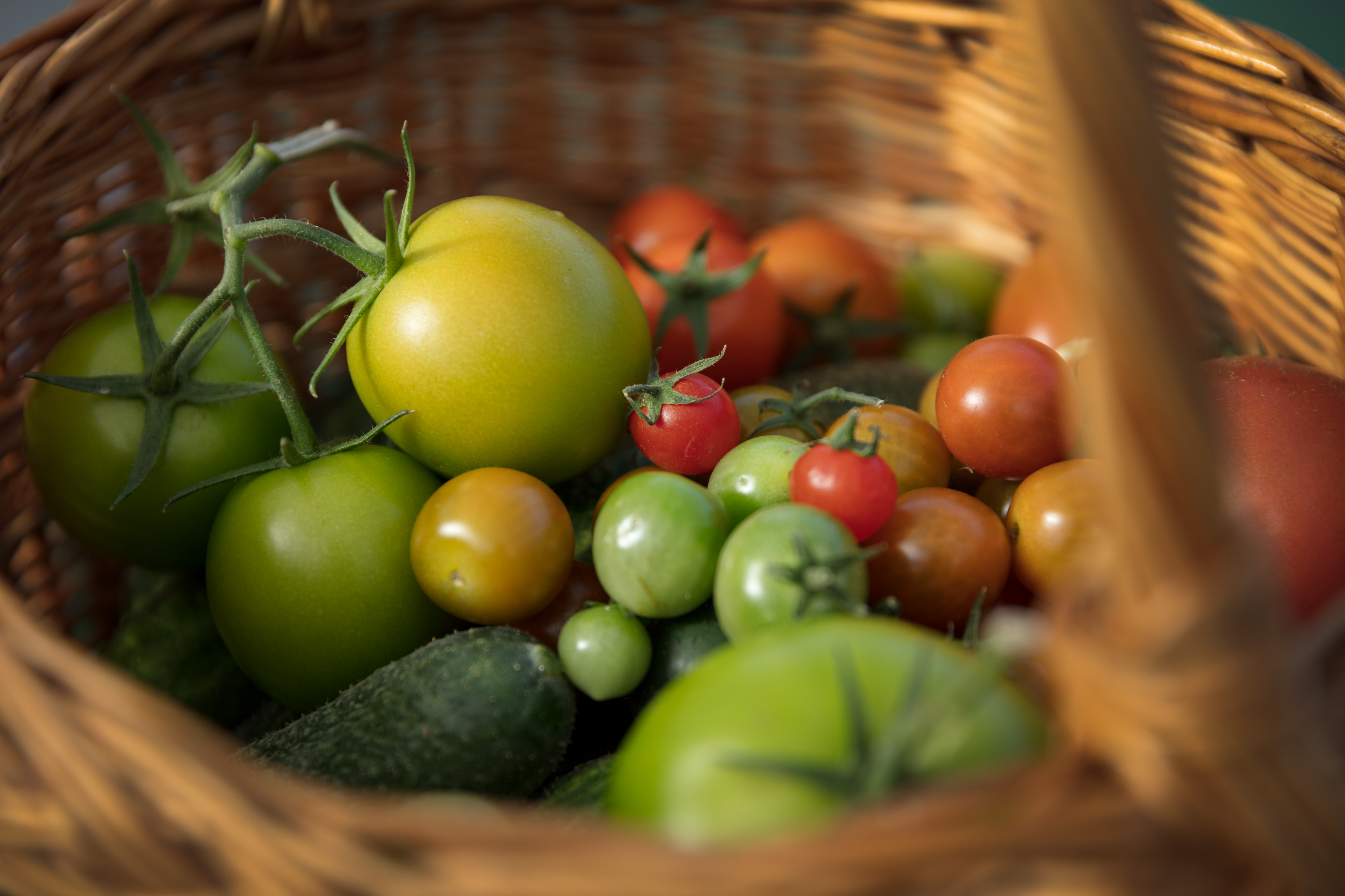 Korg med tomater