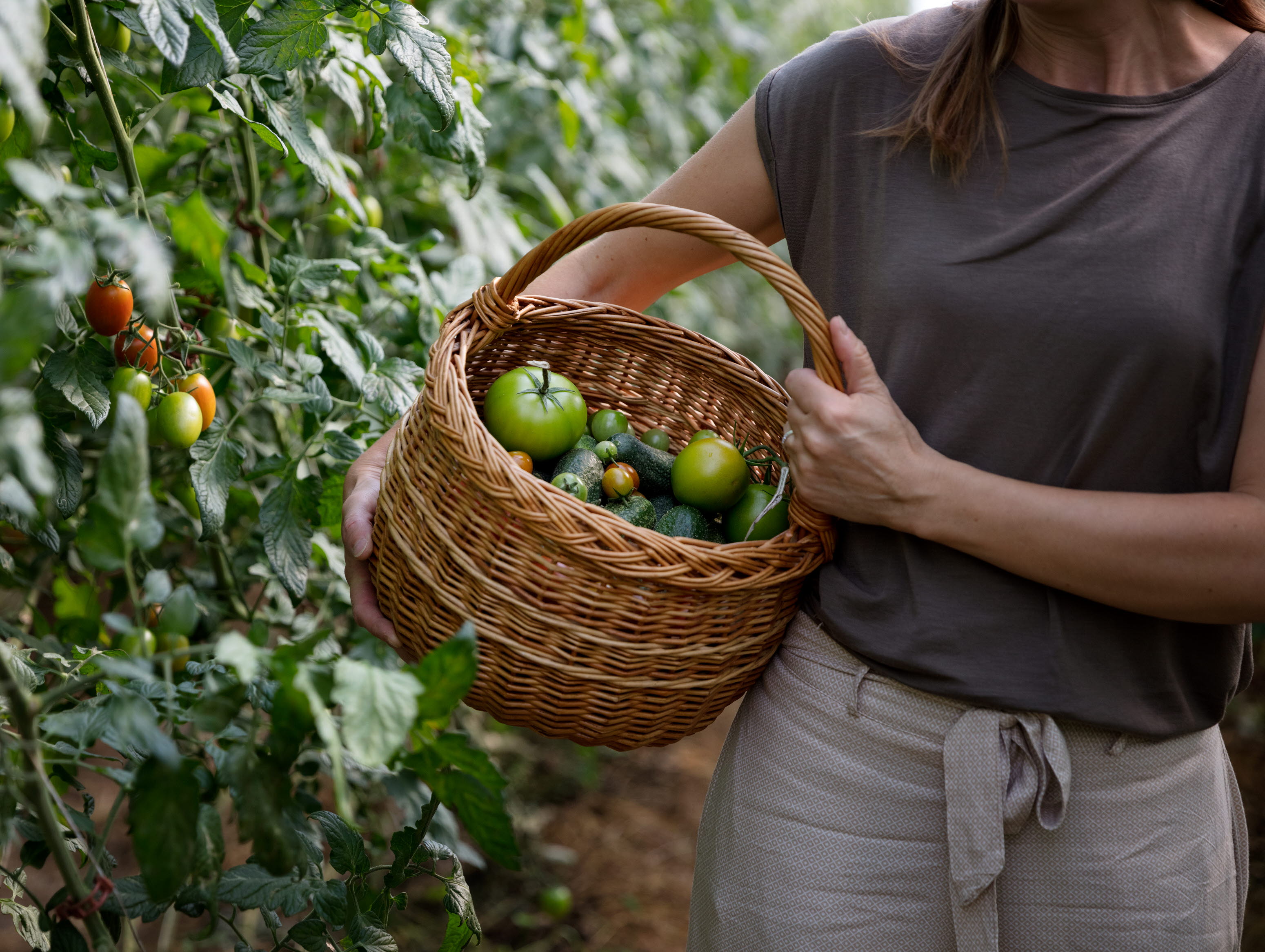 Kvinna plockar tomater i en gårdsbutik