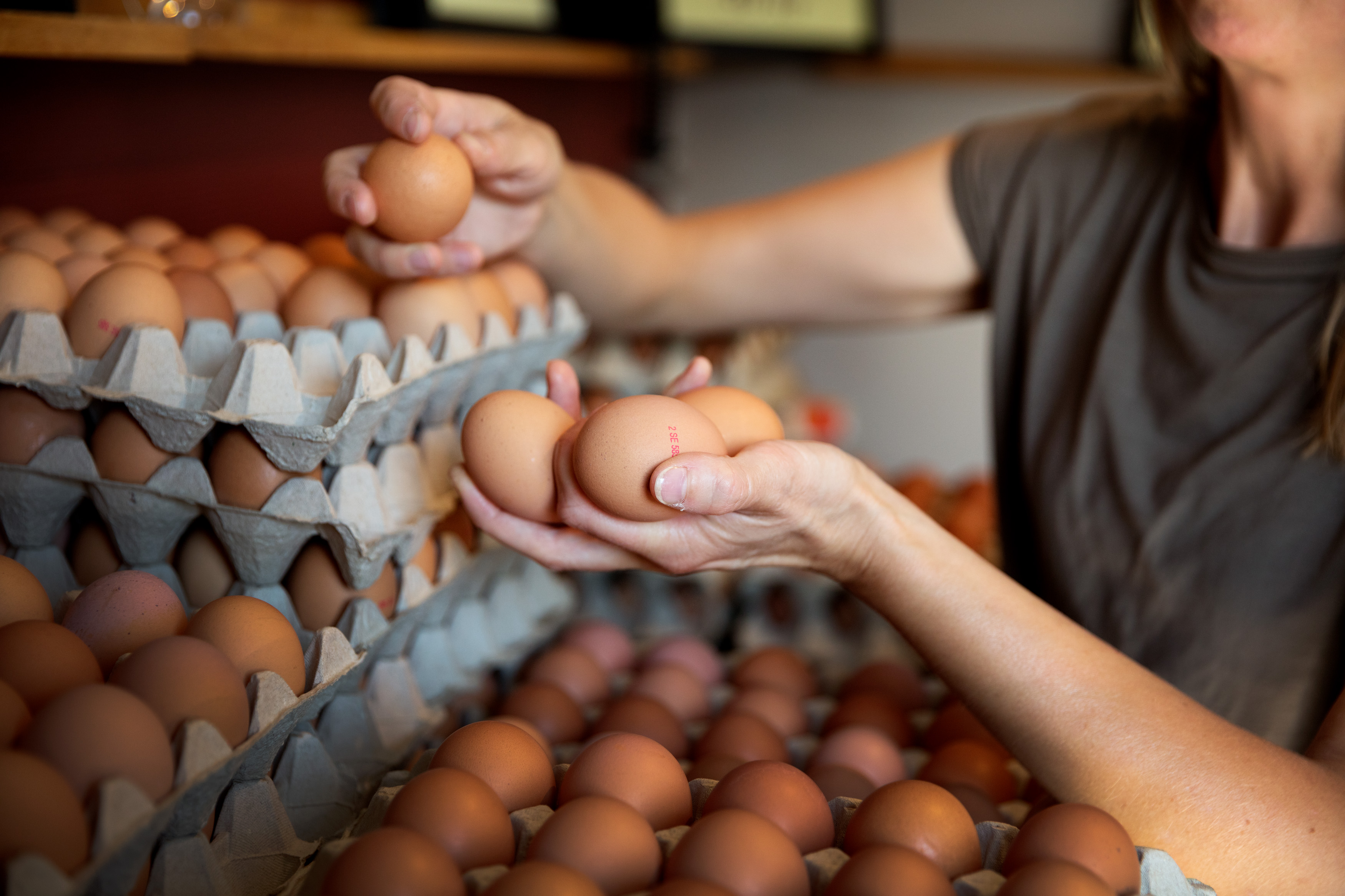 Någon plockar ägg inne i en gårdsbutik.