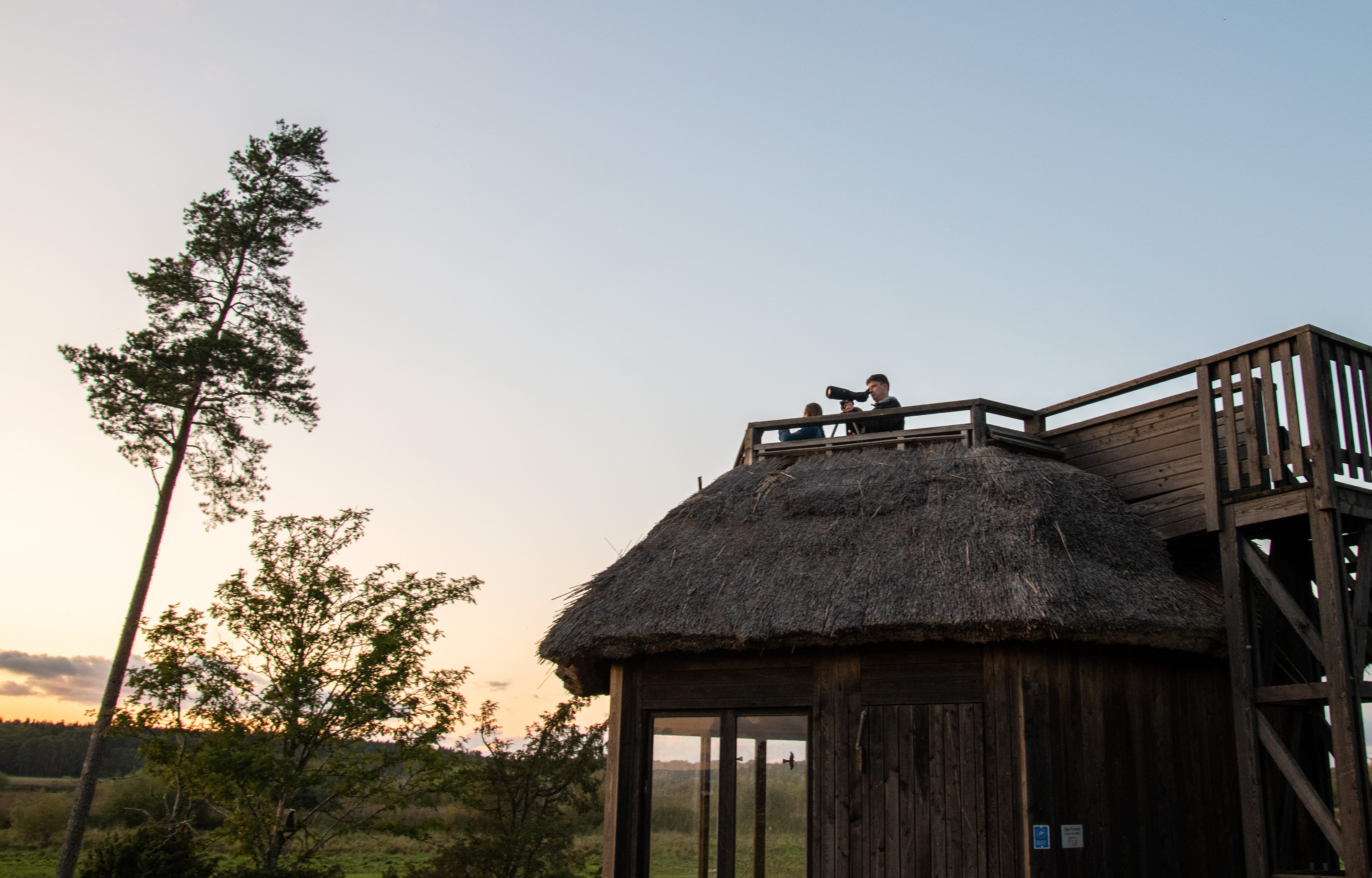 Ett fågeltorn med en blå himmel bakom