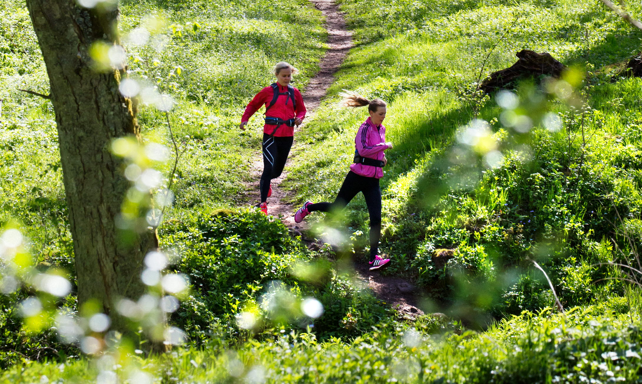 Två kvinnor springer på en stig genom lövskogen.