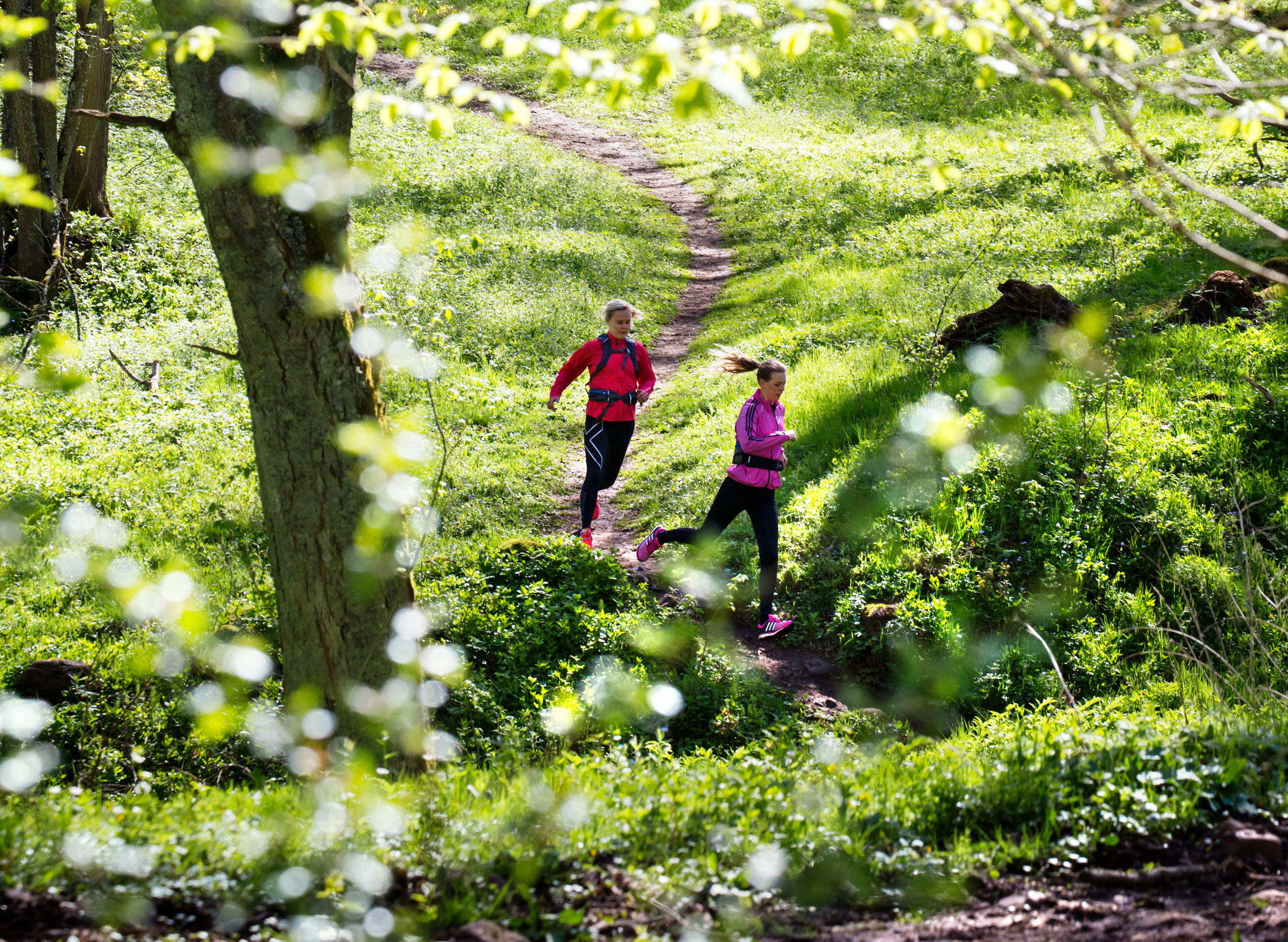 Två kvinnor springer på en stig genom lövskogen.