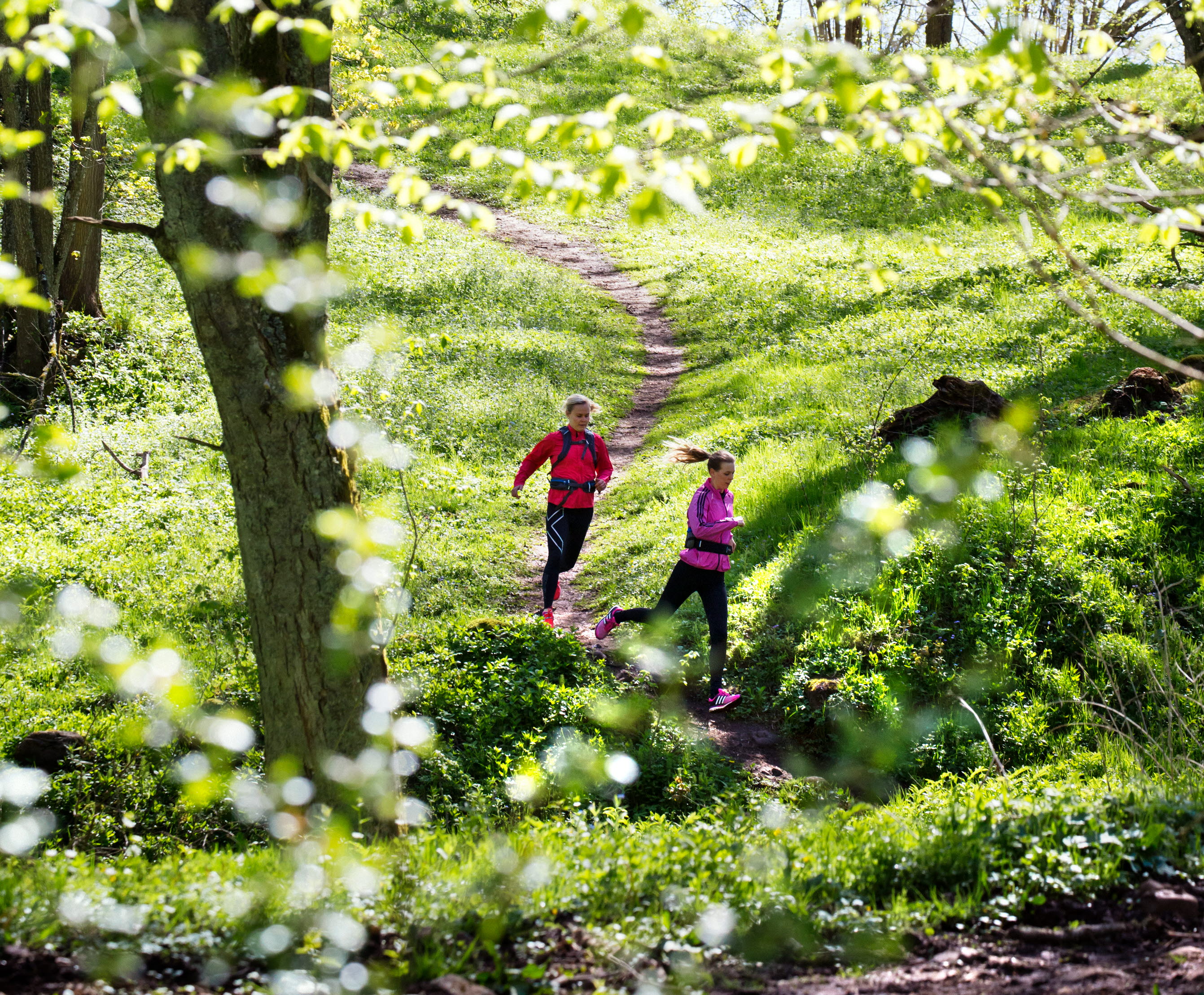 Två kvinnor springer på en stig genom lövskogen.