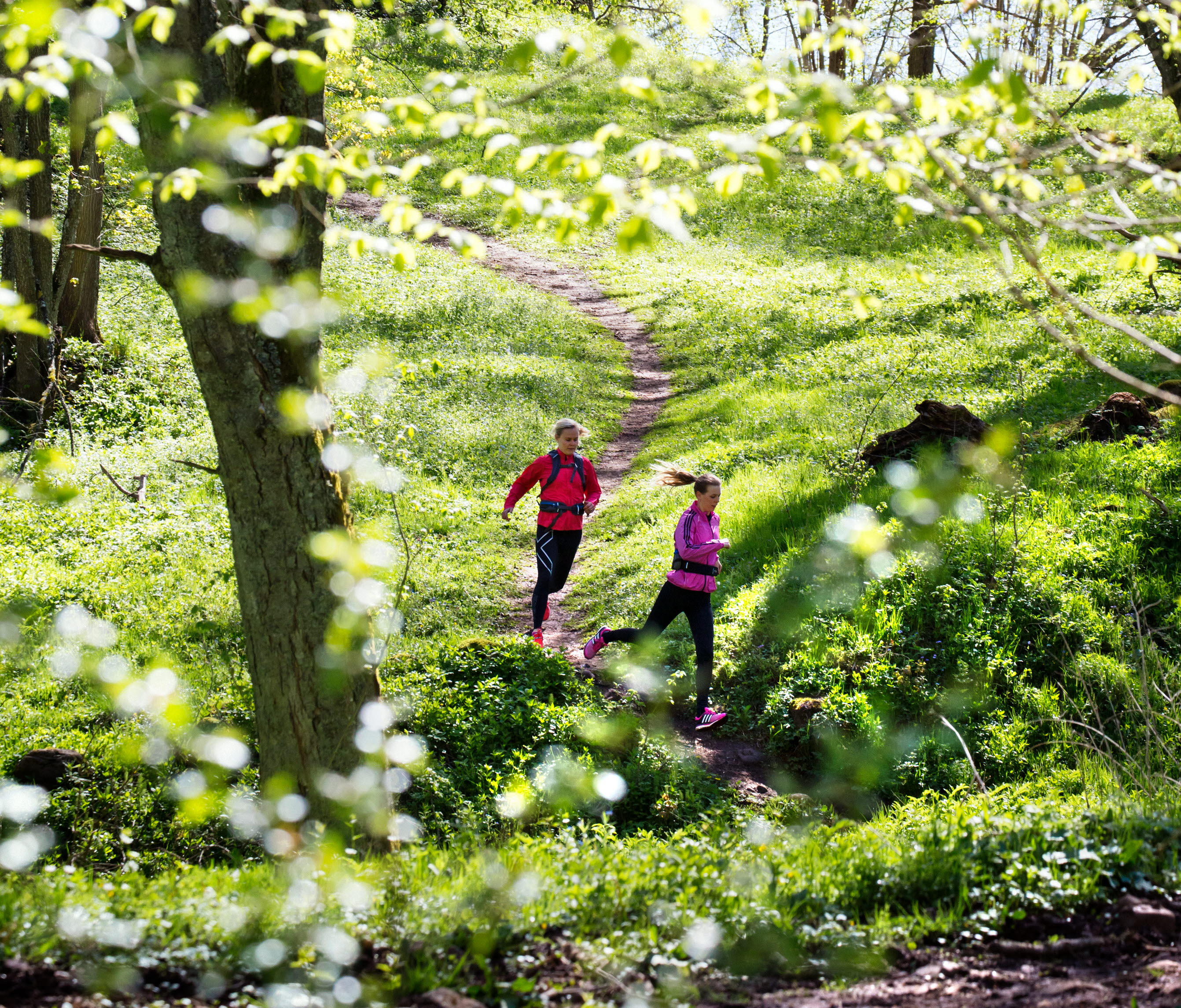 Två kvinnor springer på en stig genom lövskogen.