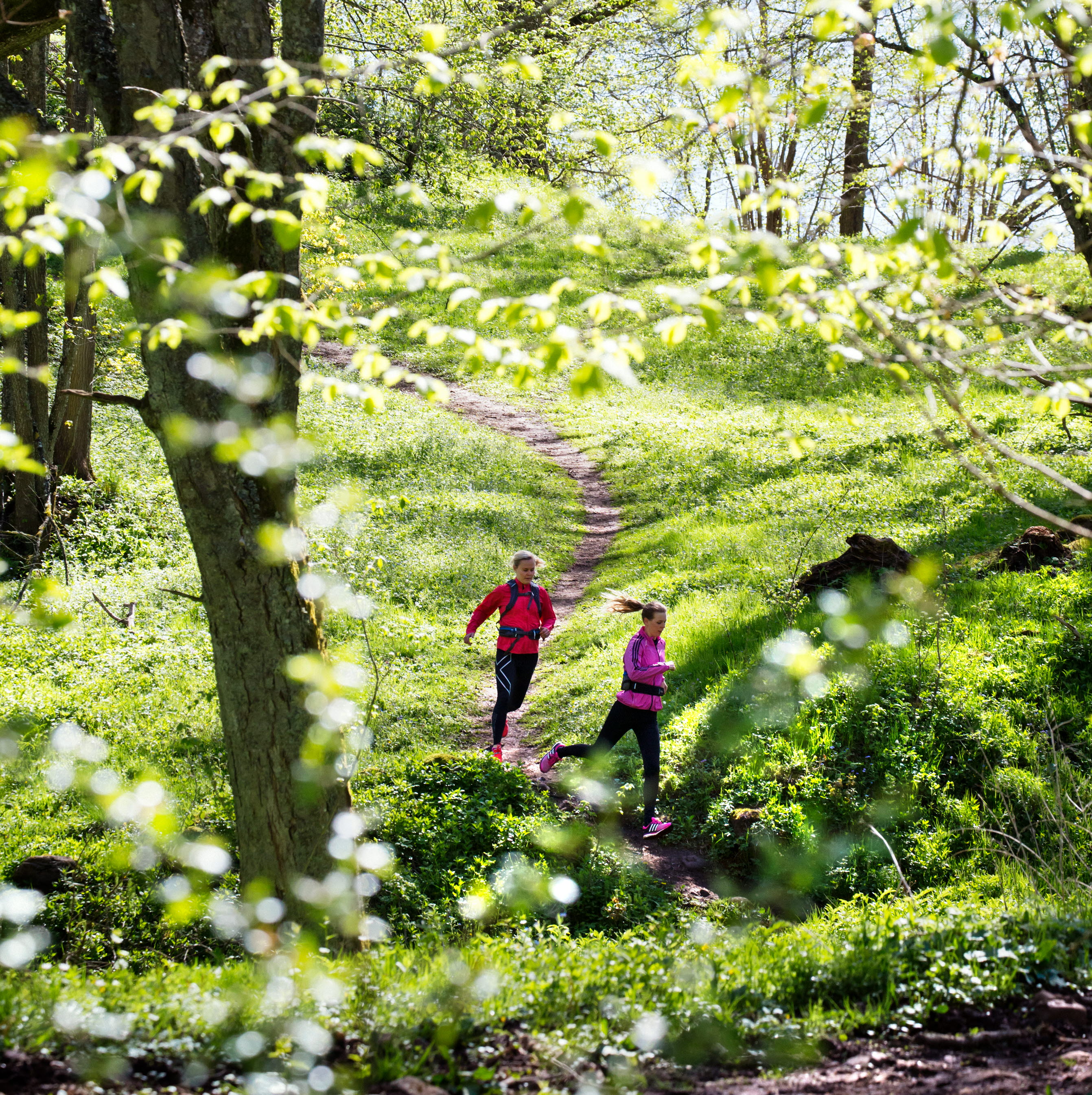 Två kvinnor springer på en stig genom lövskogen.