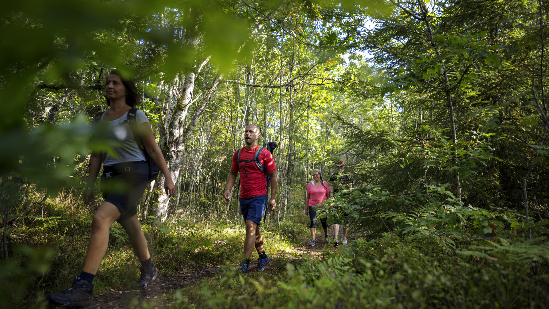 Flera personer i färgglada kläder vandrar på en stig i skogen. 