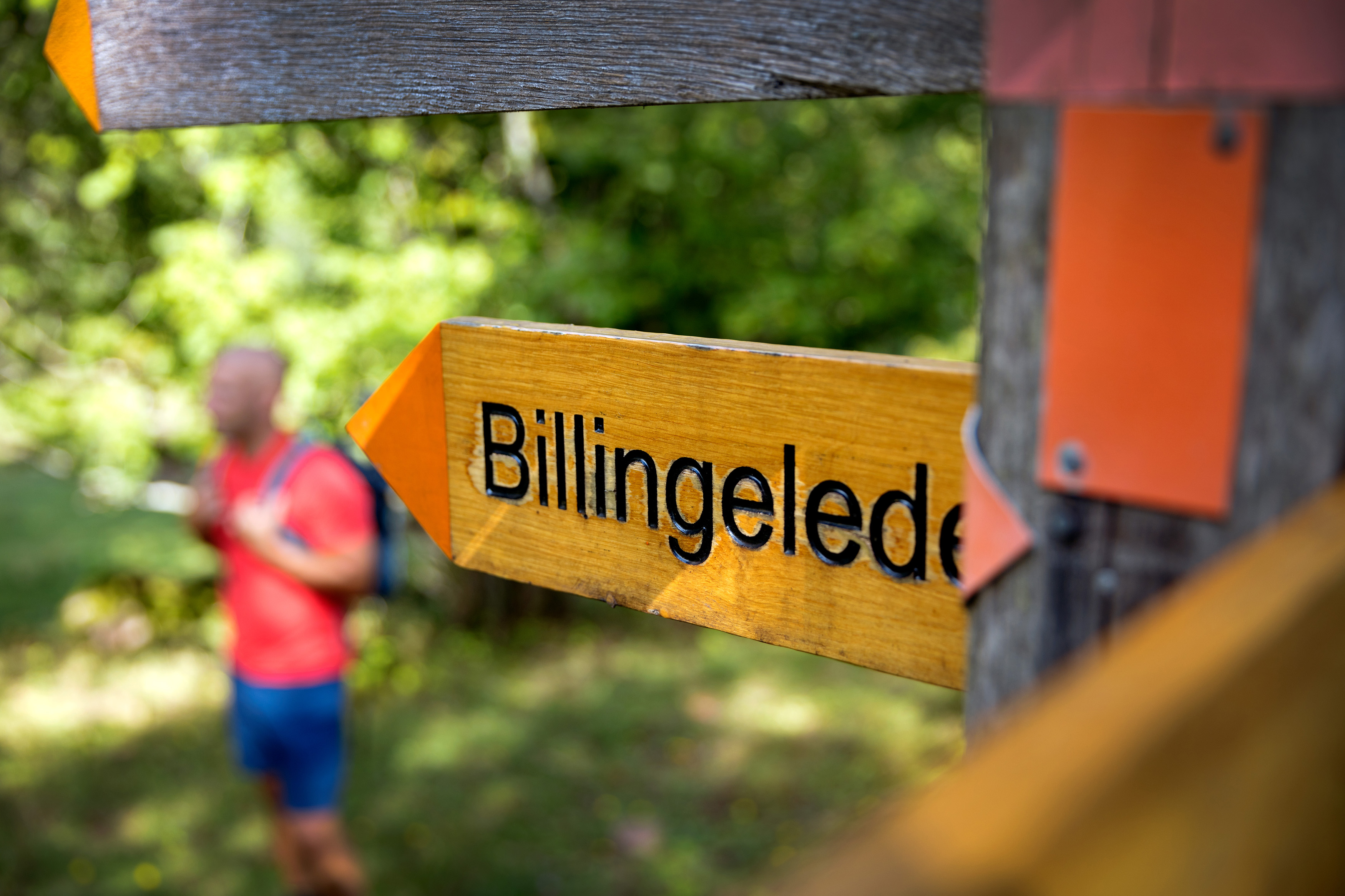 Skyltning för vandringsled