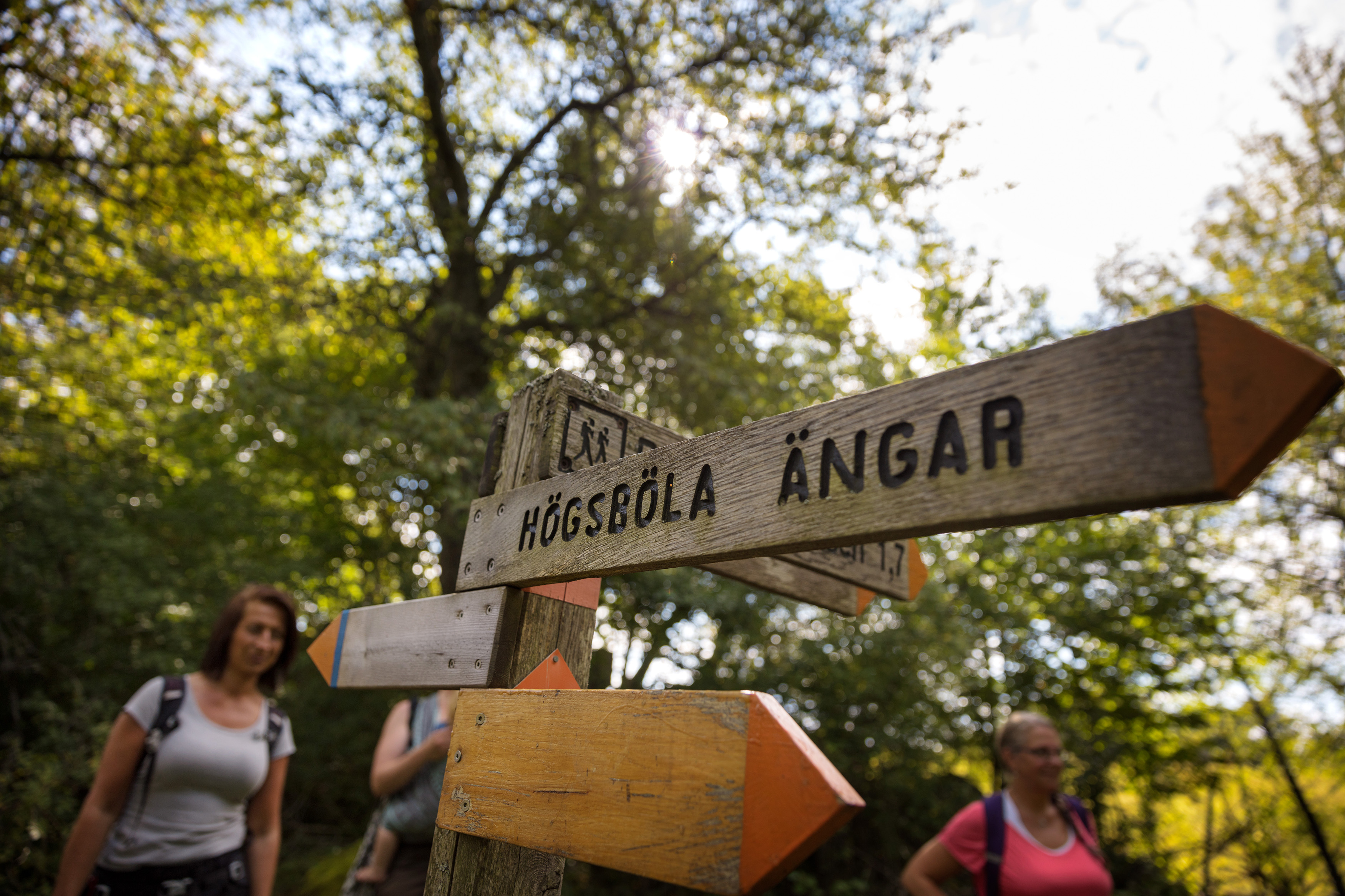 Skyltning för vandringsled