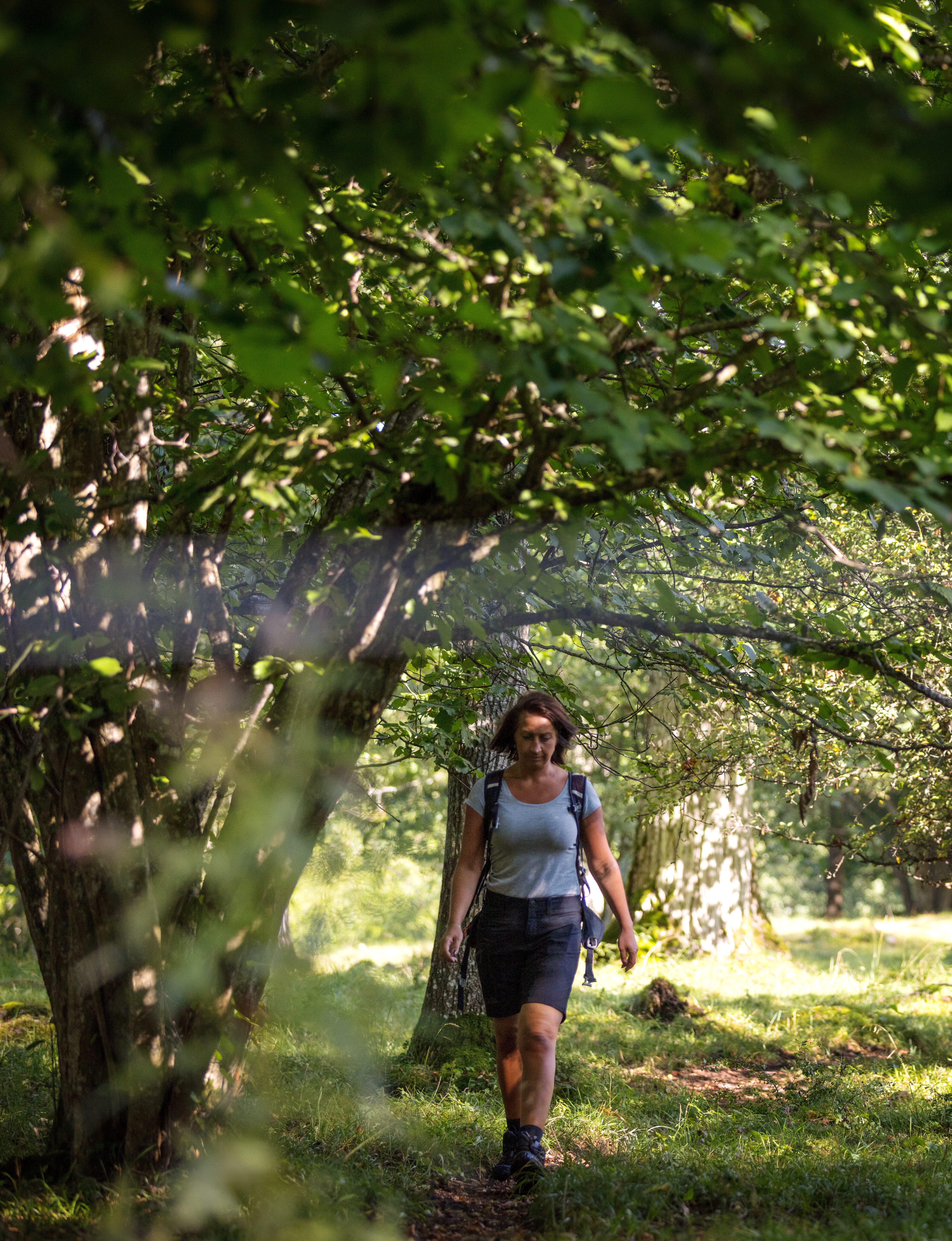 Tjej som vandrar på Högsböla ängar