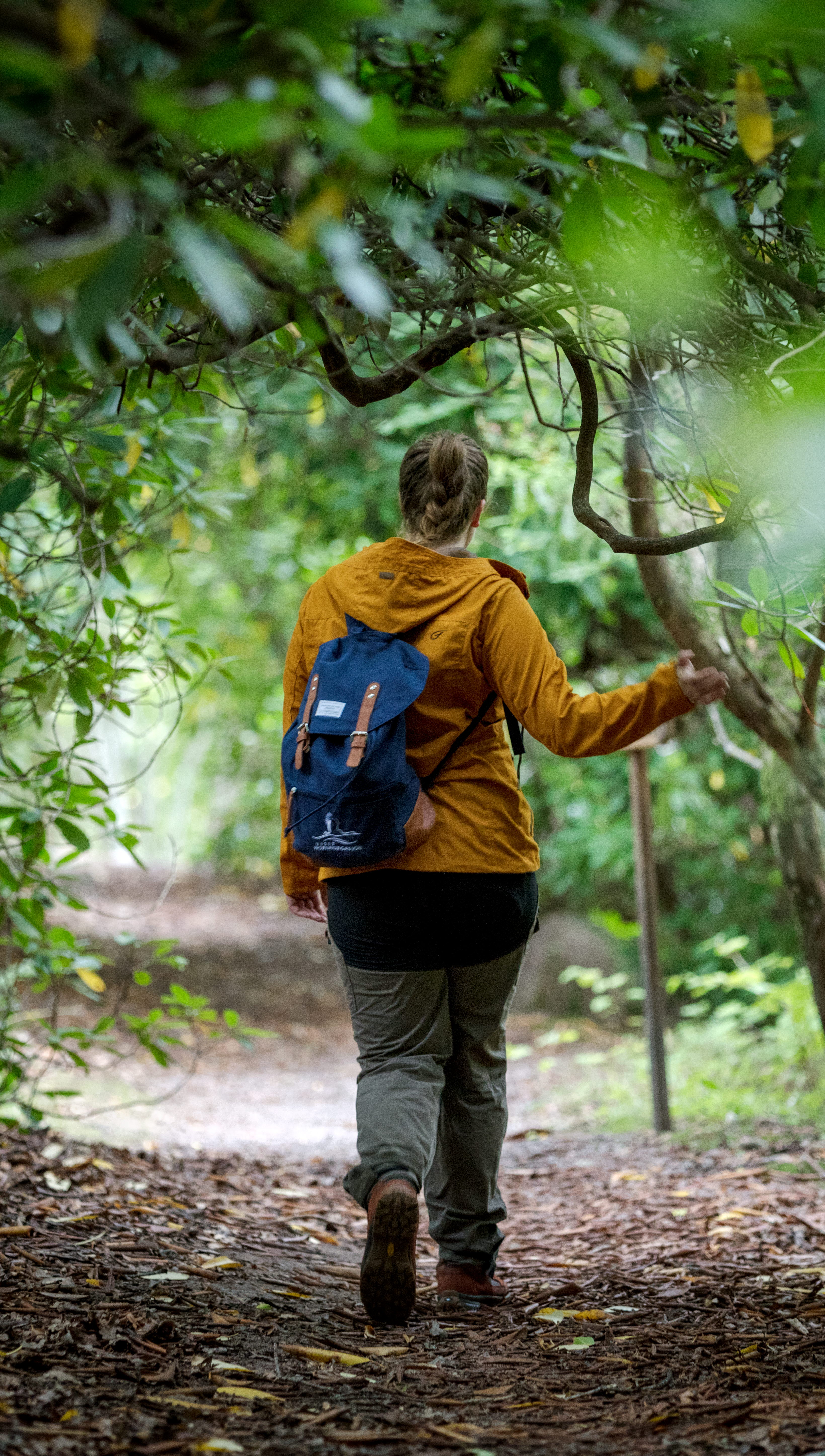 Kvinna i gul jacka vandrar längs en lövtäckt stig omgiven av gröna snirkliga rhododendronblad