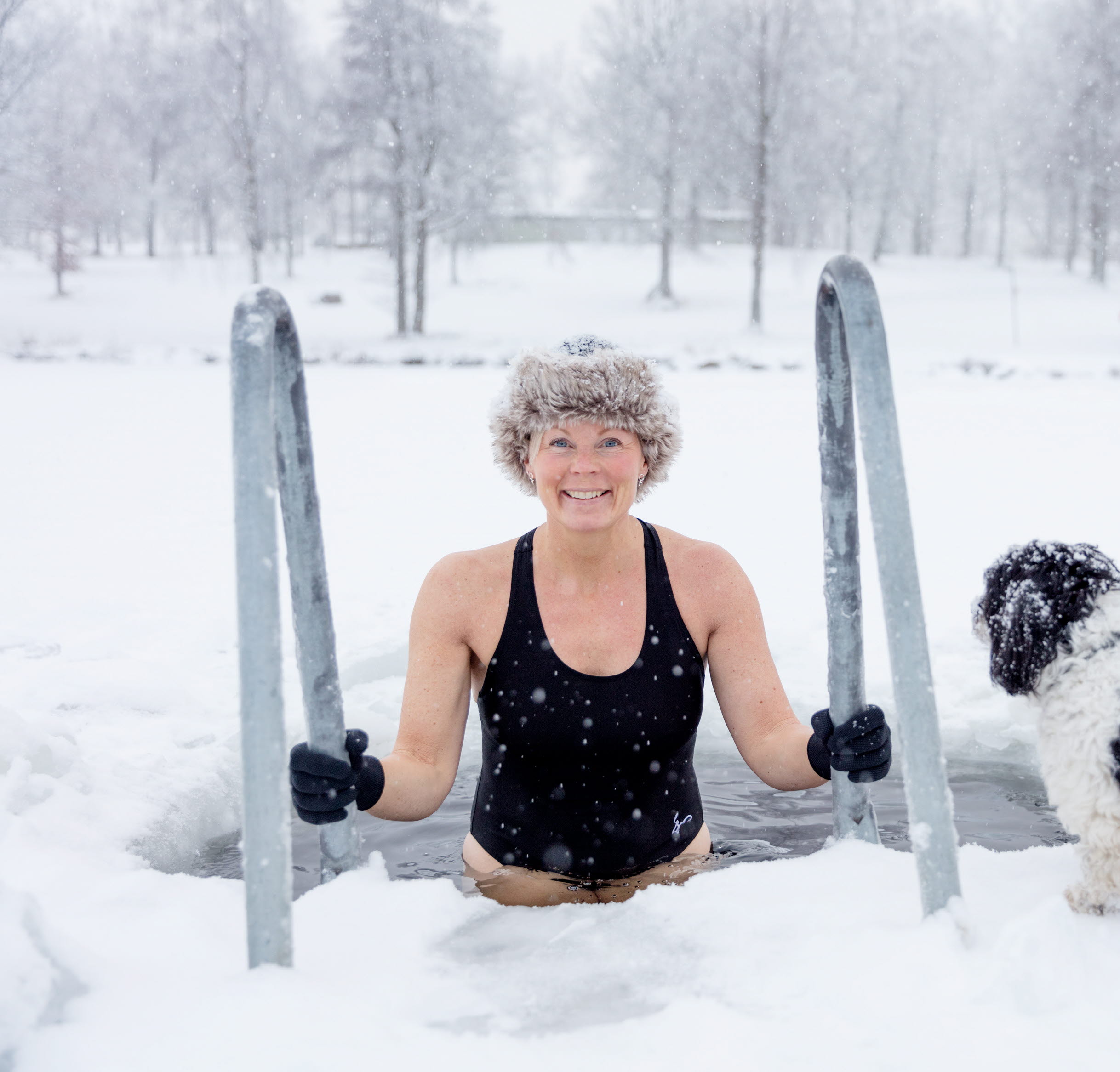 Winter swimmer on her way down into cold water surrounded by a snowy winter landscape by Simsjön in Skövde.