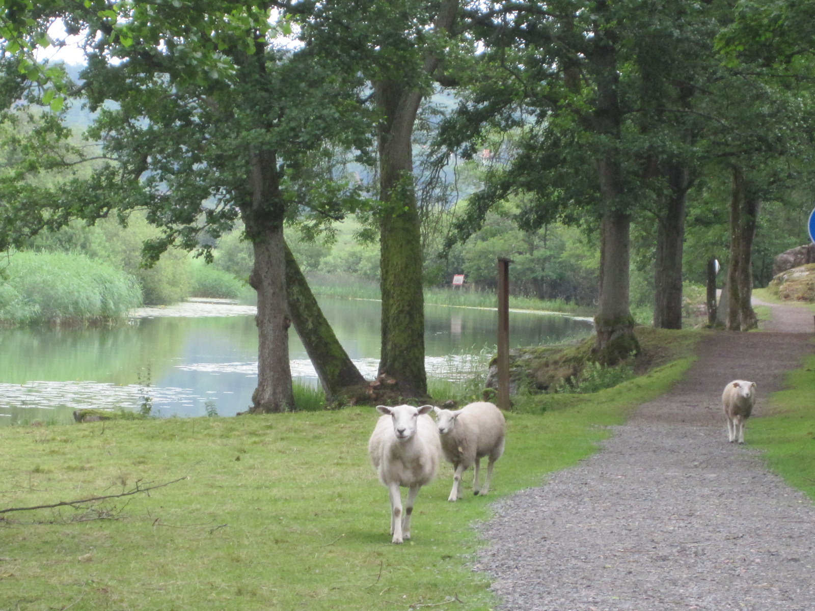 "Holmgången", dvs proemandstigen på Fästningsholmen
