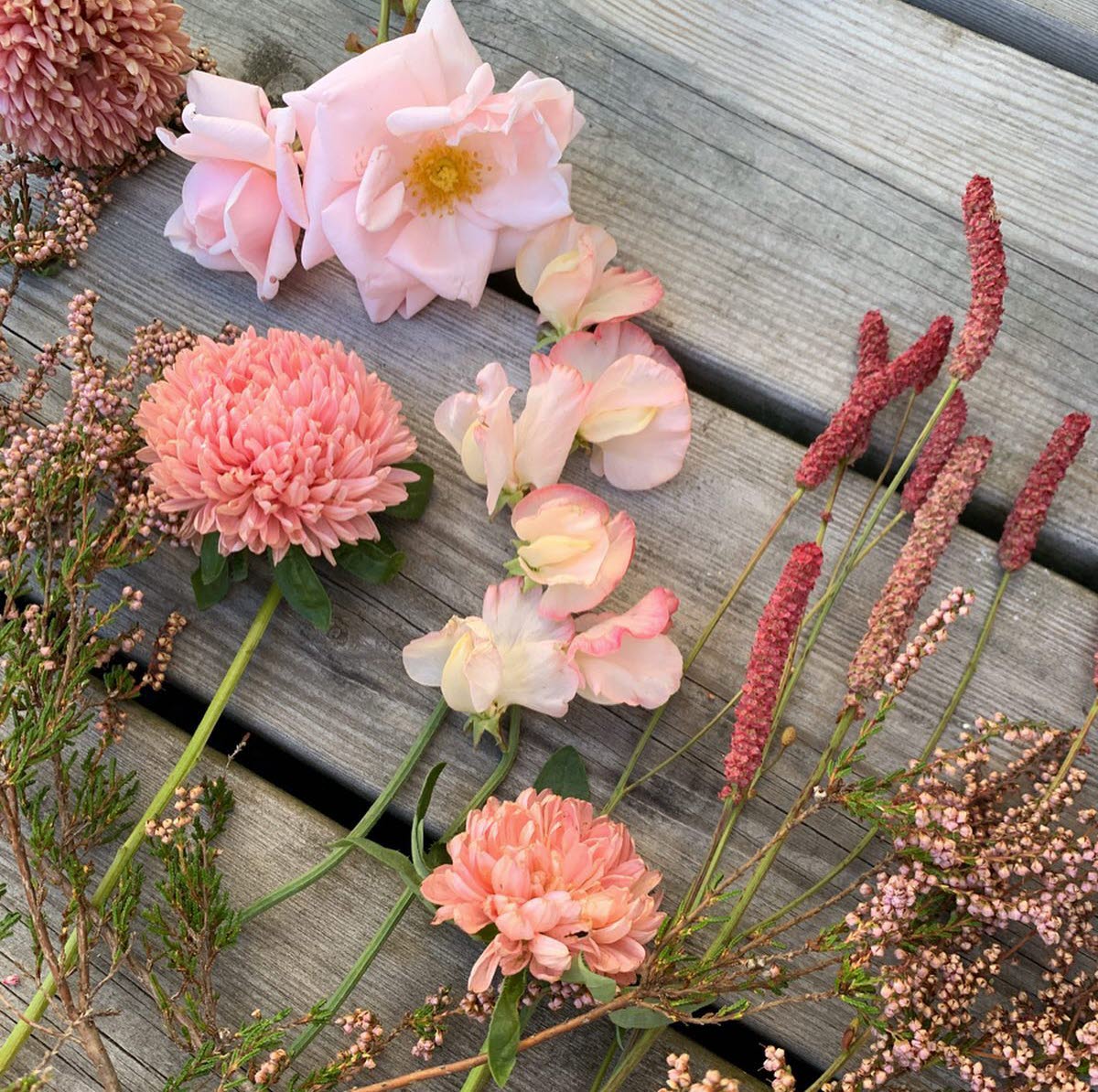 en annan slags trädgård