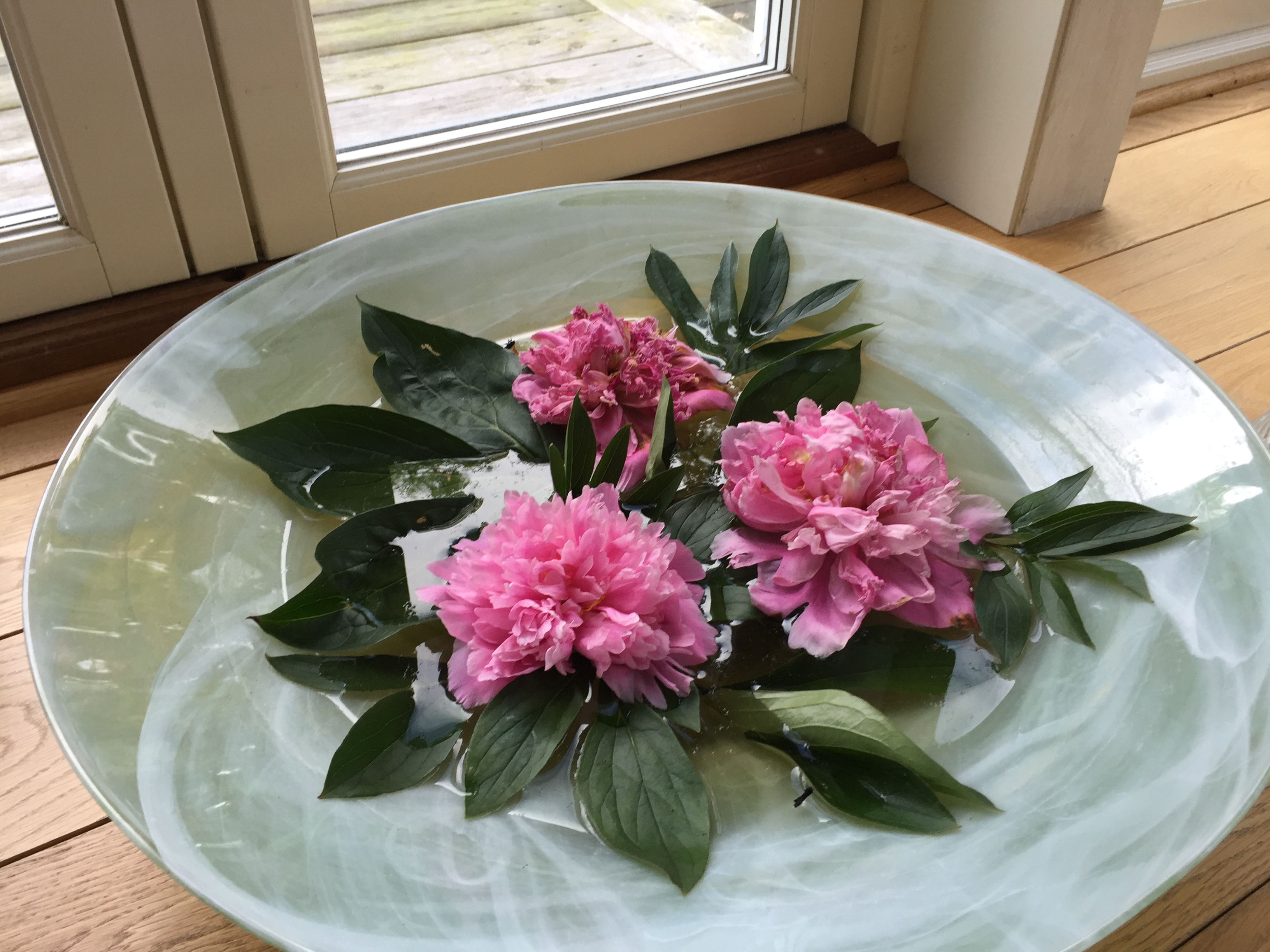 Blomma på Tofta Retreat