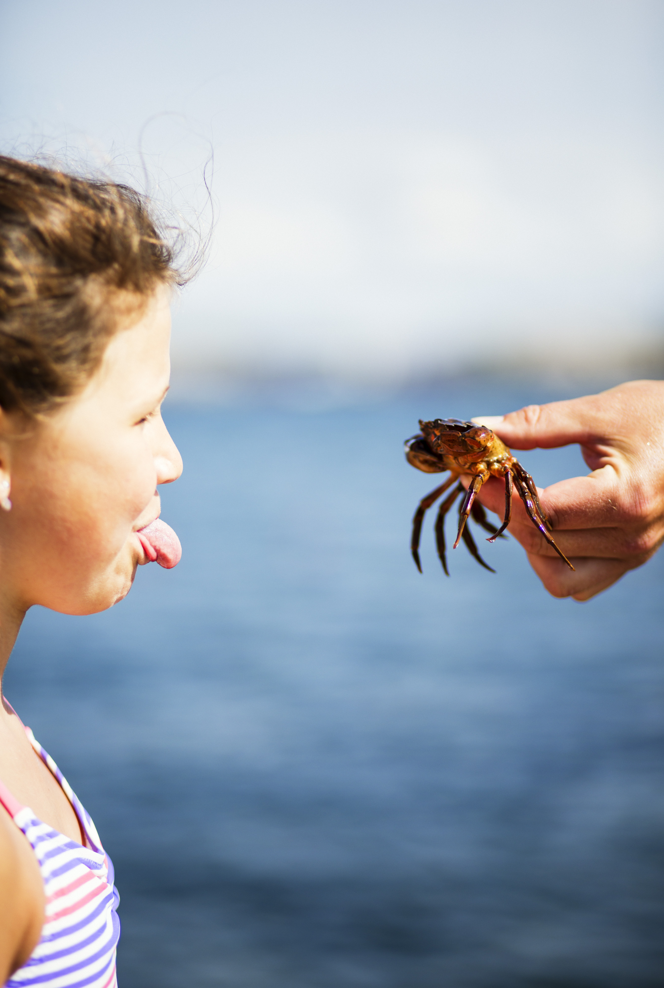 barnens salta bohuslän