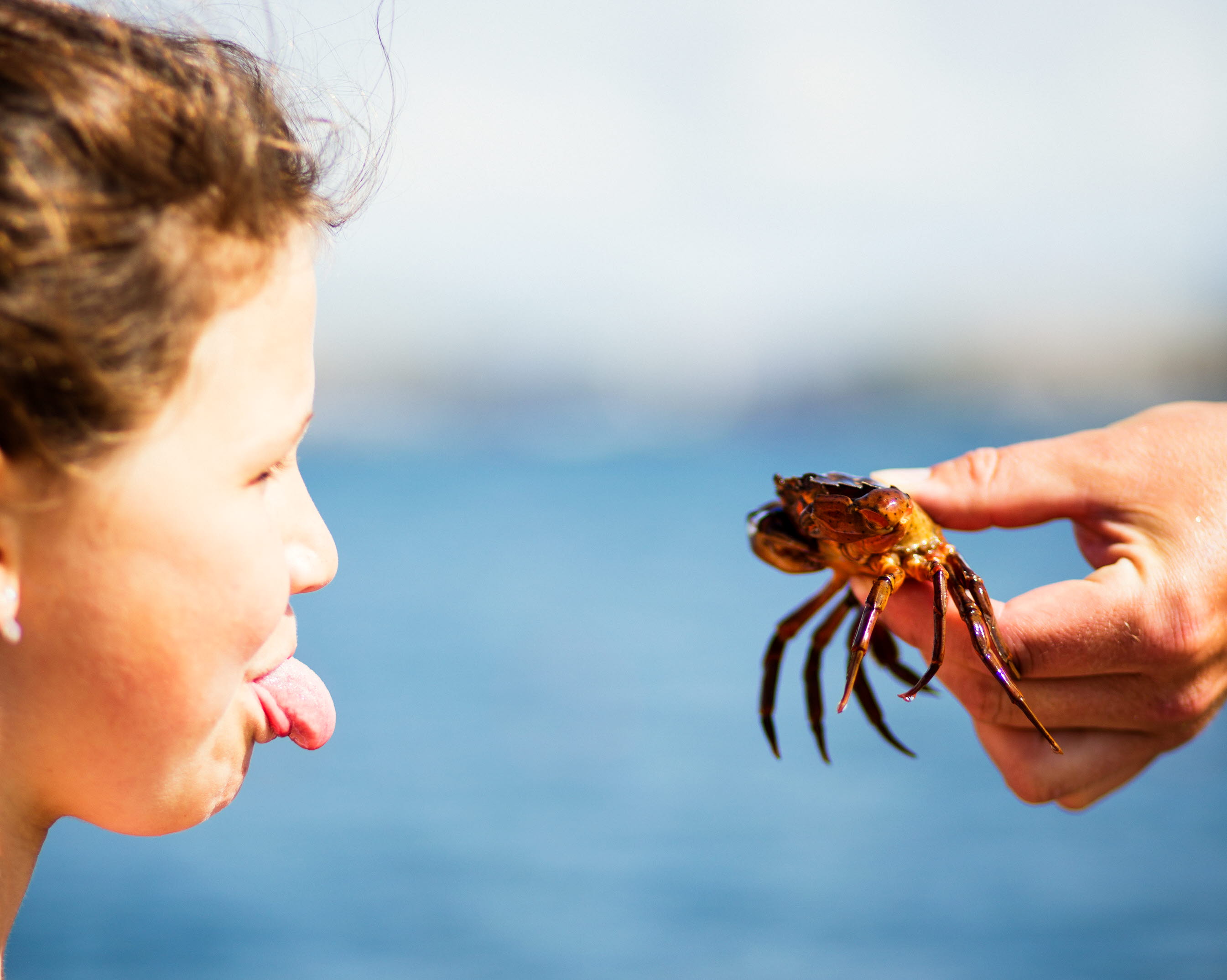barnens salta bohuslän