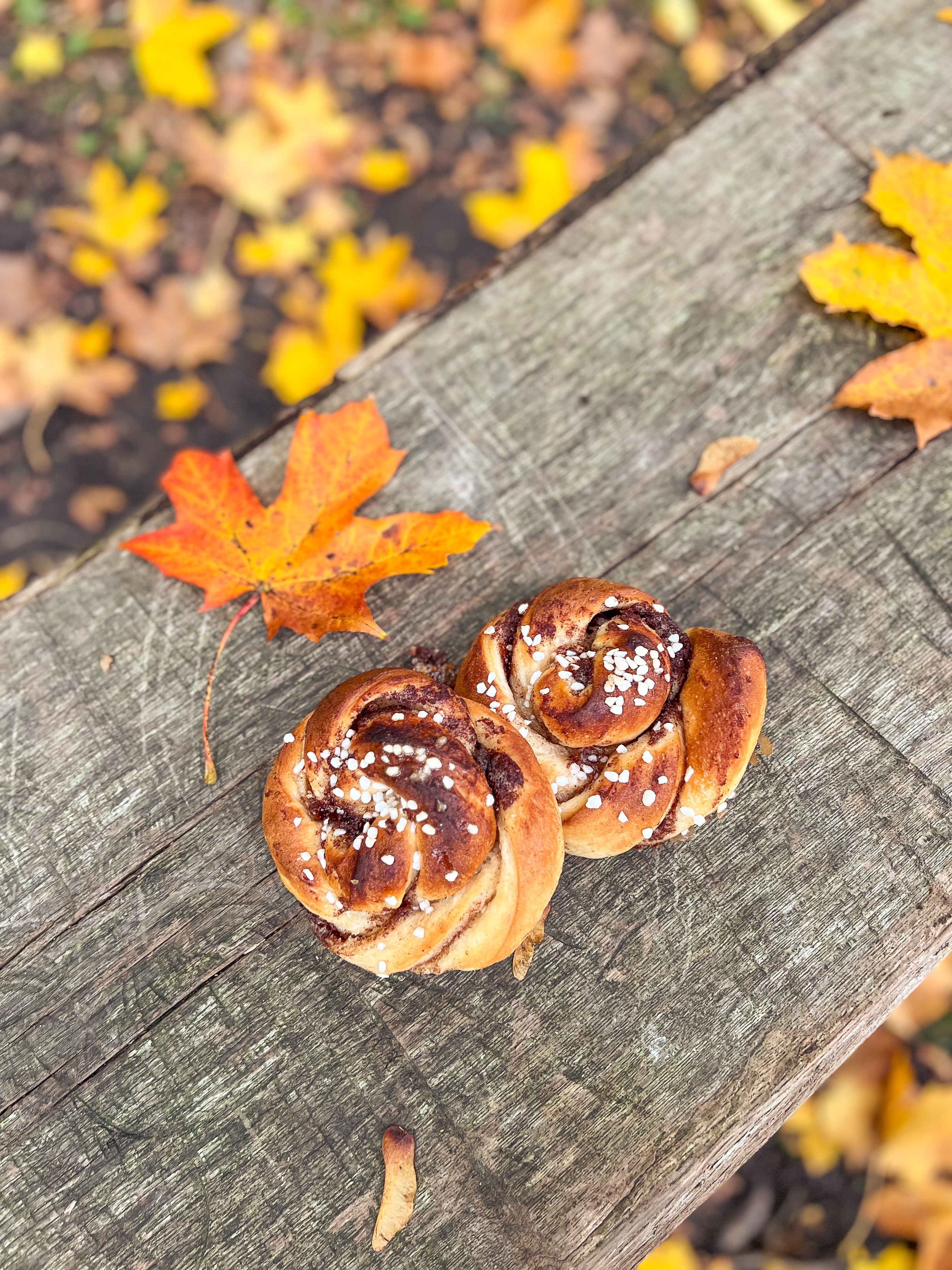 Höstlovsfika på sundsby säteri