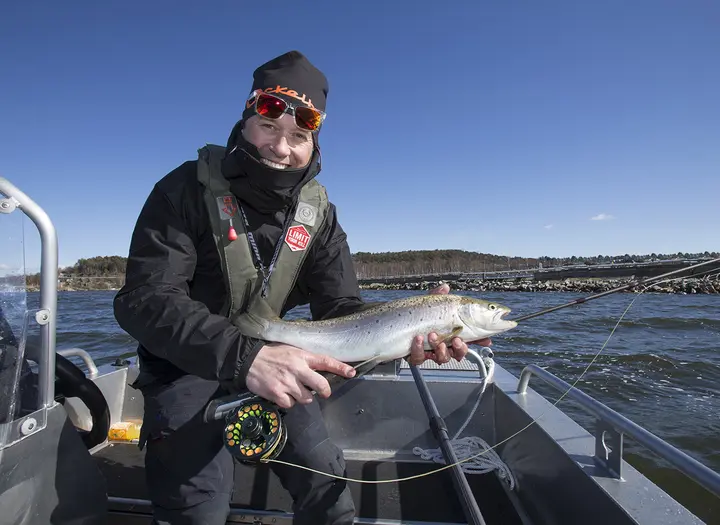 Fiska havsöring på Orust