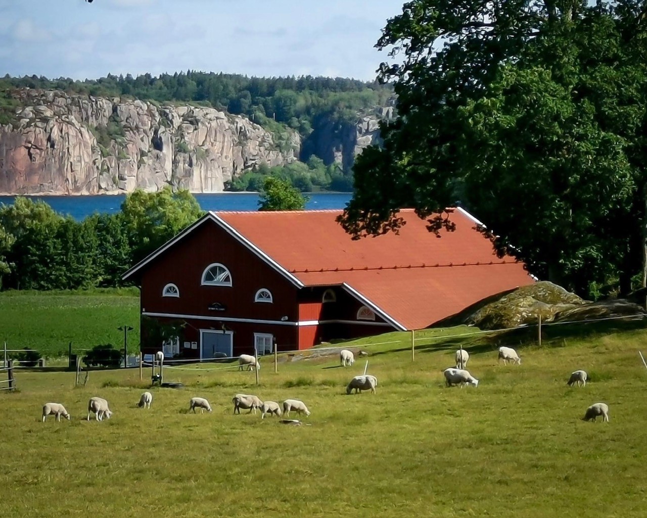 Butiken på landet