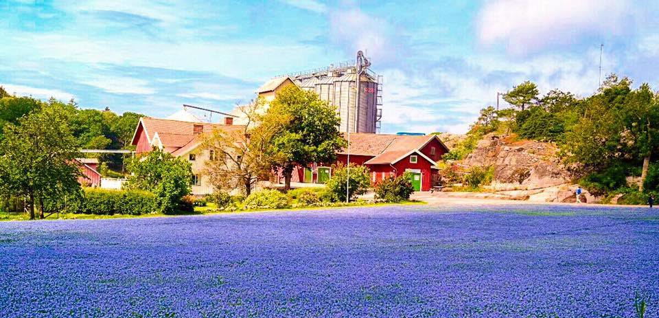 Klevs Gård HKT