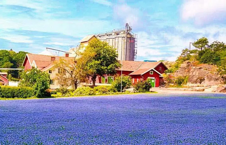 Klevs gård