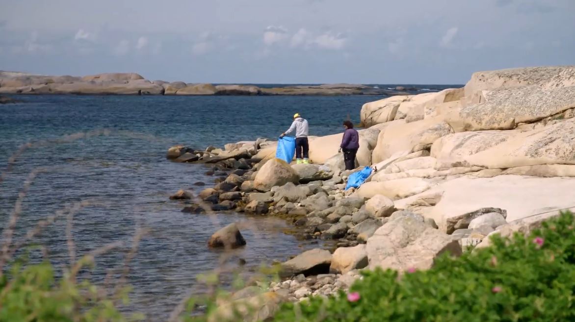 Strandstädare Sotenäs