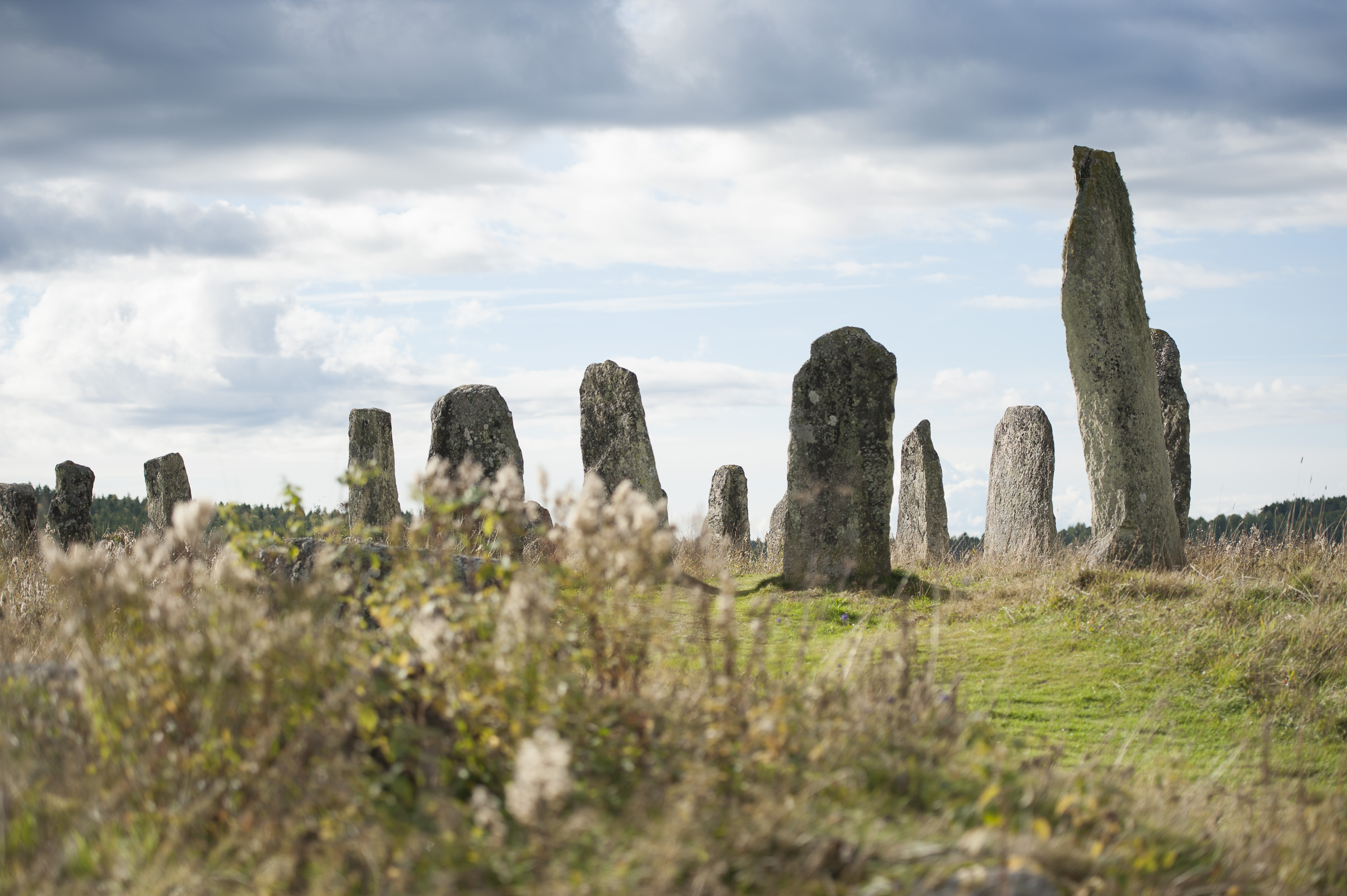Blomsholms skeppssättning.