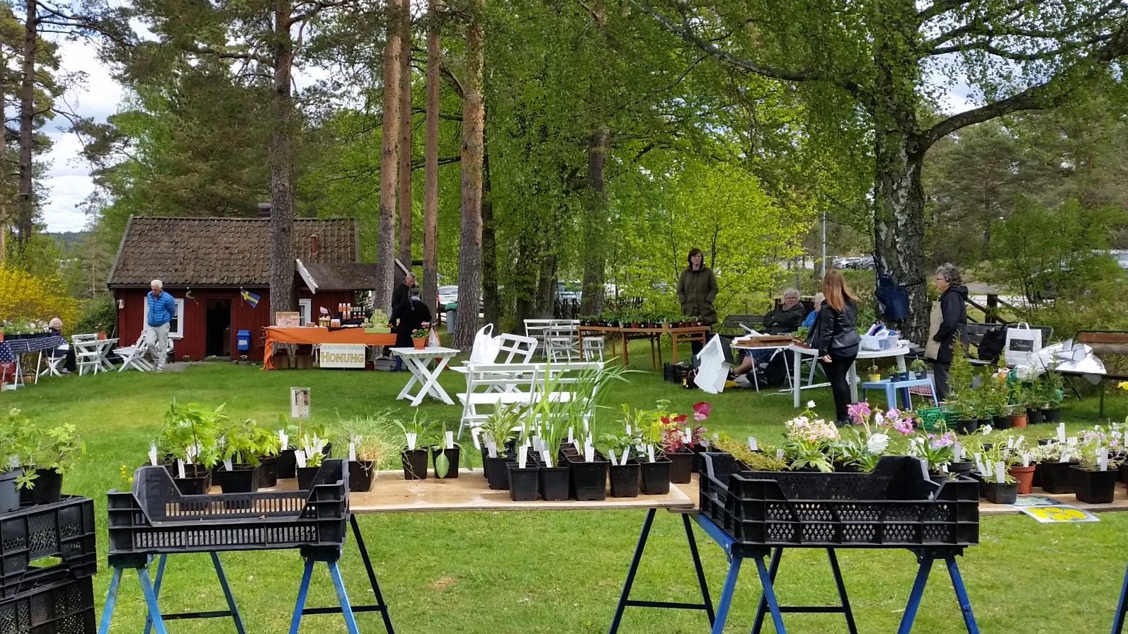 Växtmarknad vid friluftsmuséet