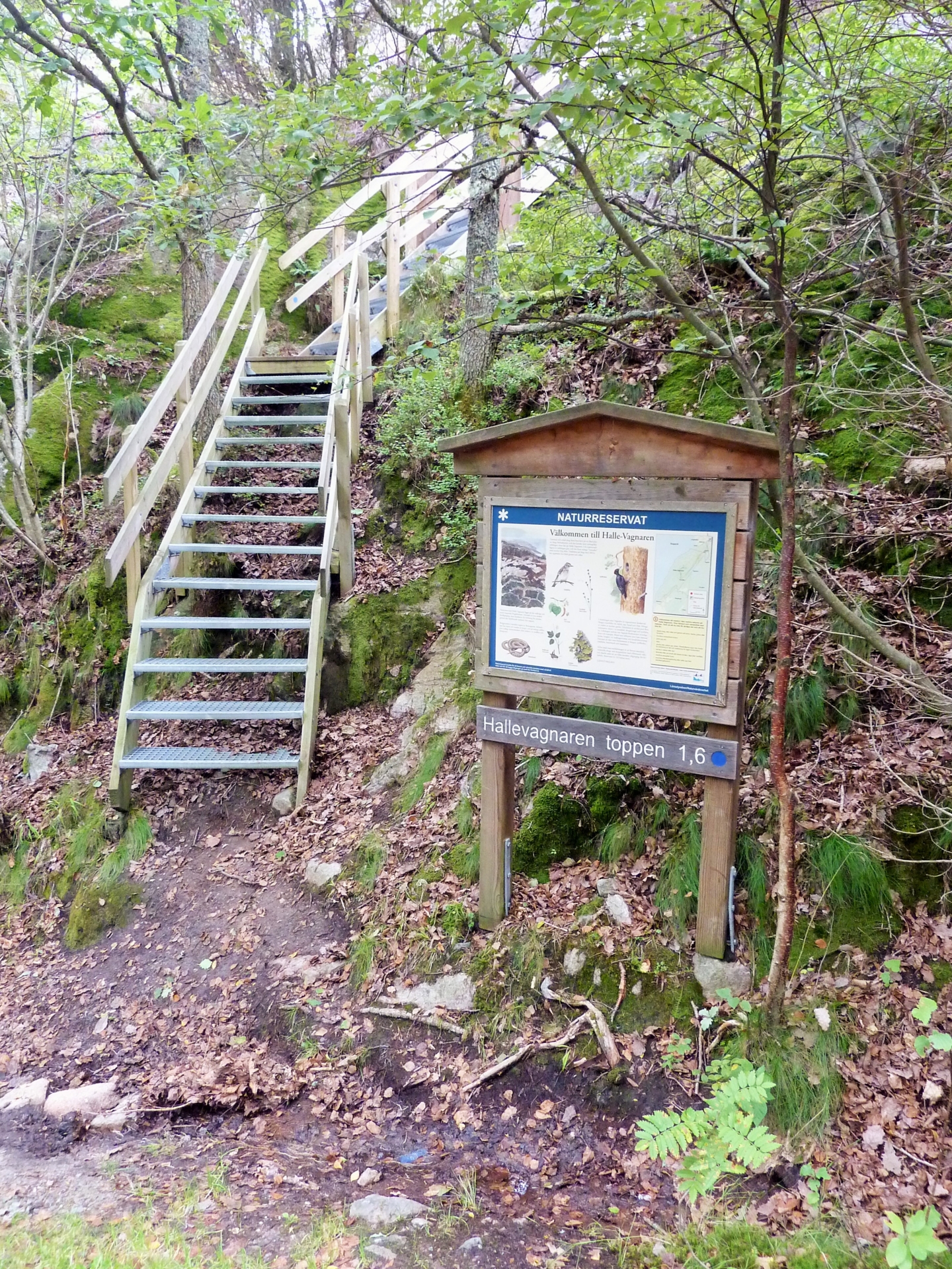 En trappa av trä leder upp för en brant backe i naturreservatet Halle-Vagnarens skog. I förgrunden står en tavla av trä med information om reservatet. 