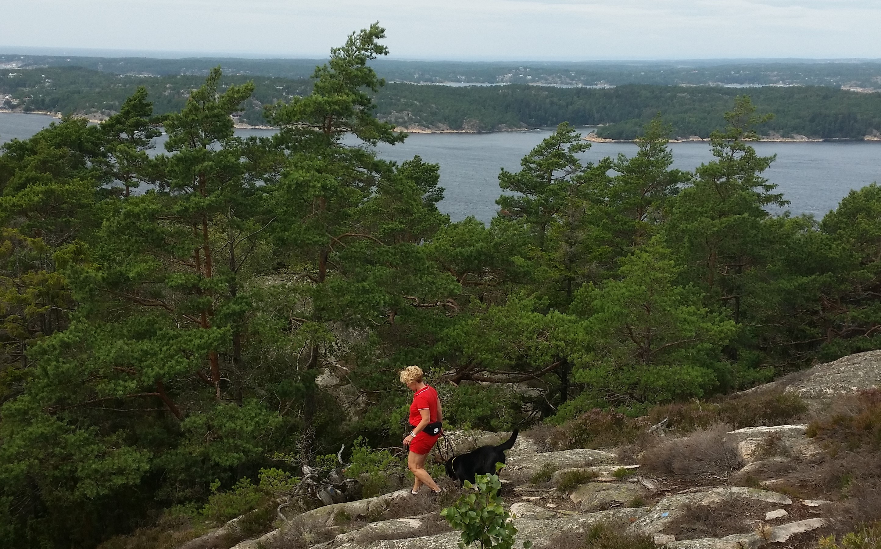 Halle Vagnaren naturreservat vid havet
