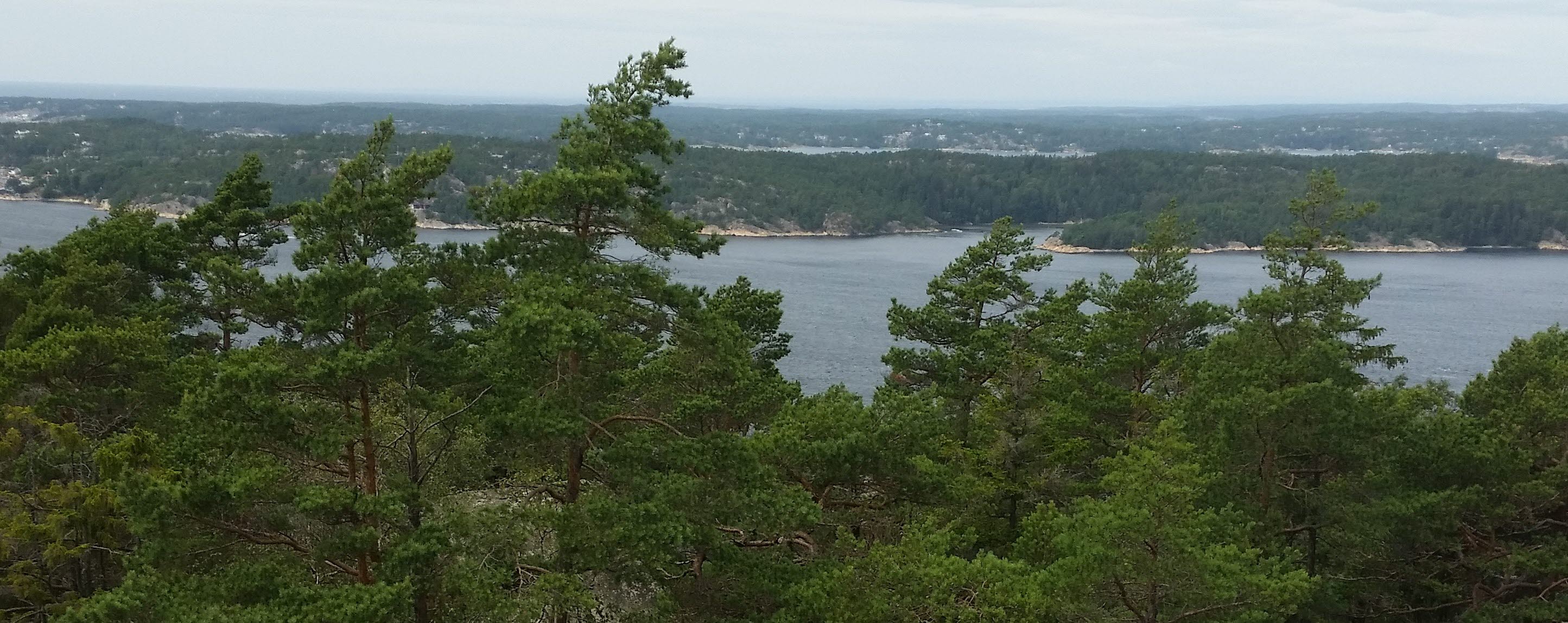 Halle Vagnaren naturreservat vid havet