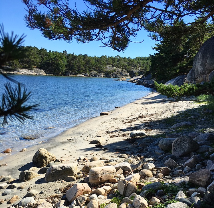 En sandstrand på Kockholmen med några stenar och lite träd