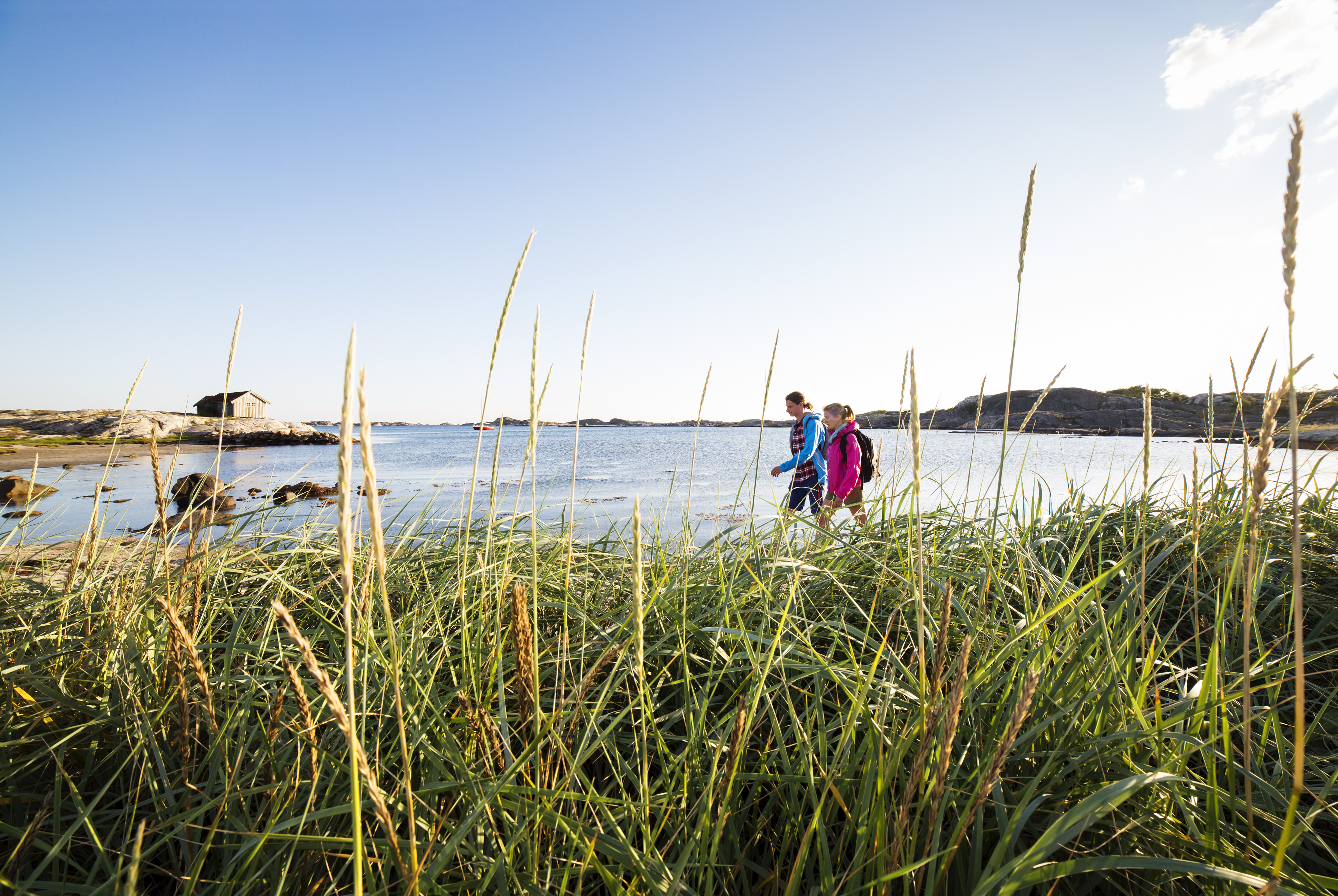 I förgrunden syns vass och högt gräs, I bakgrunden syns två personer som promenerar längst en strand på Sydkoster.