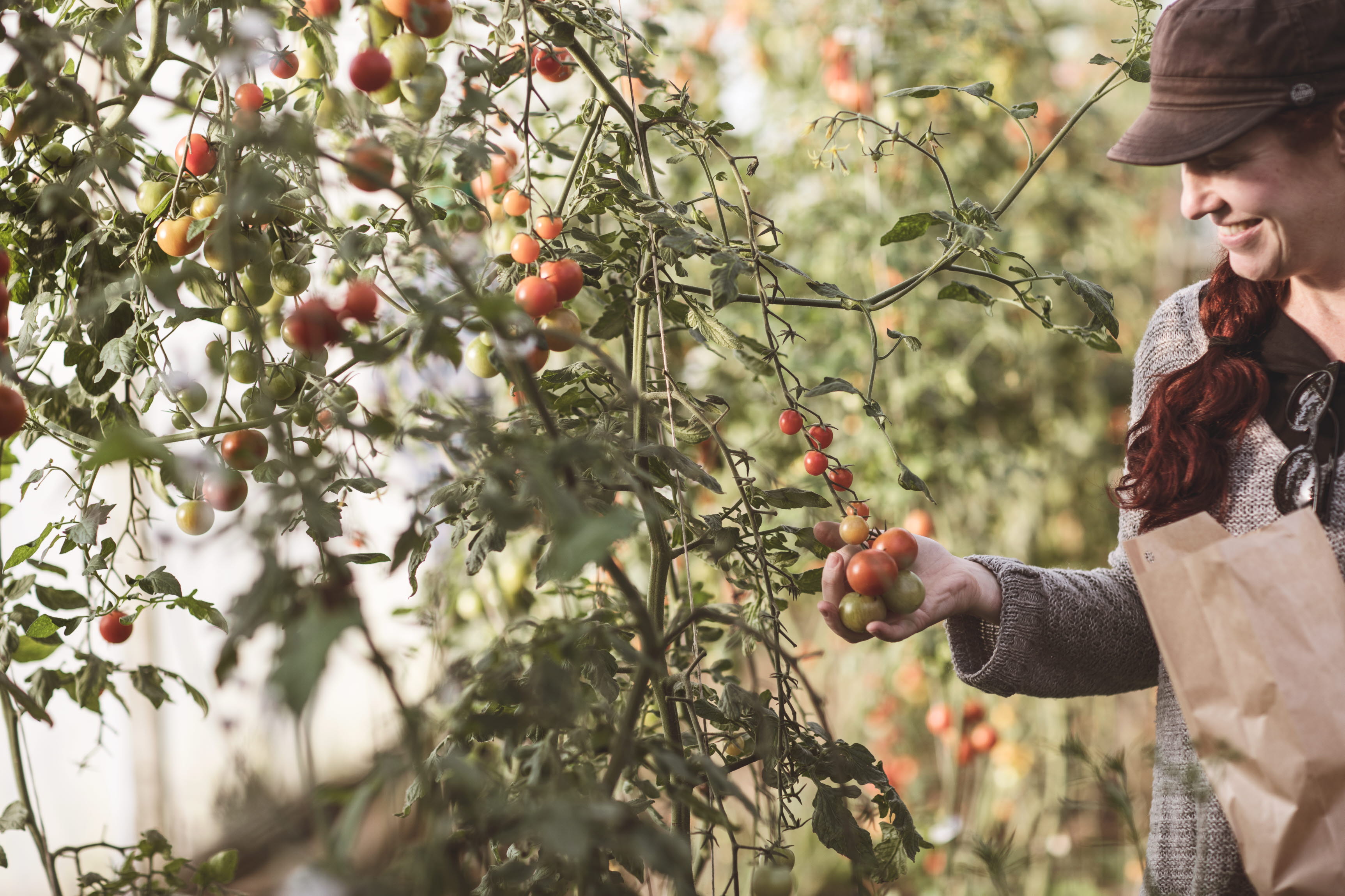Kvinna tittar på tomater