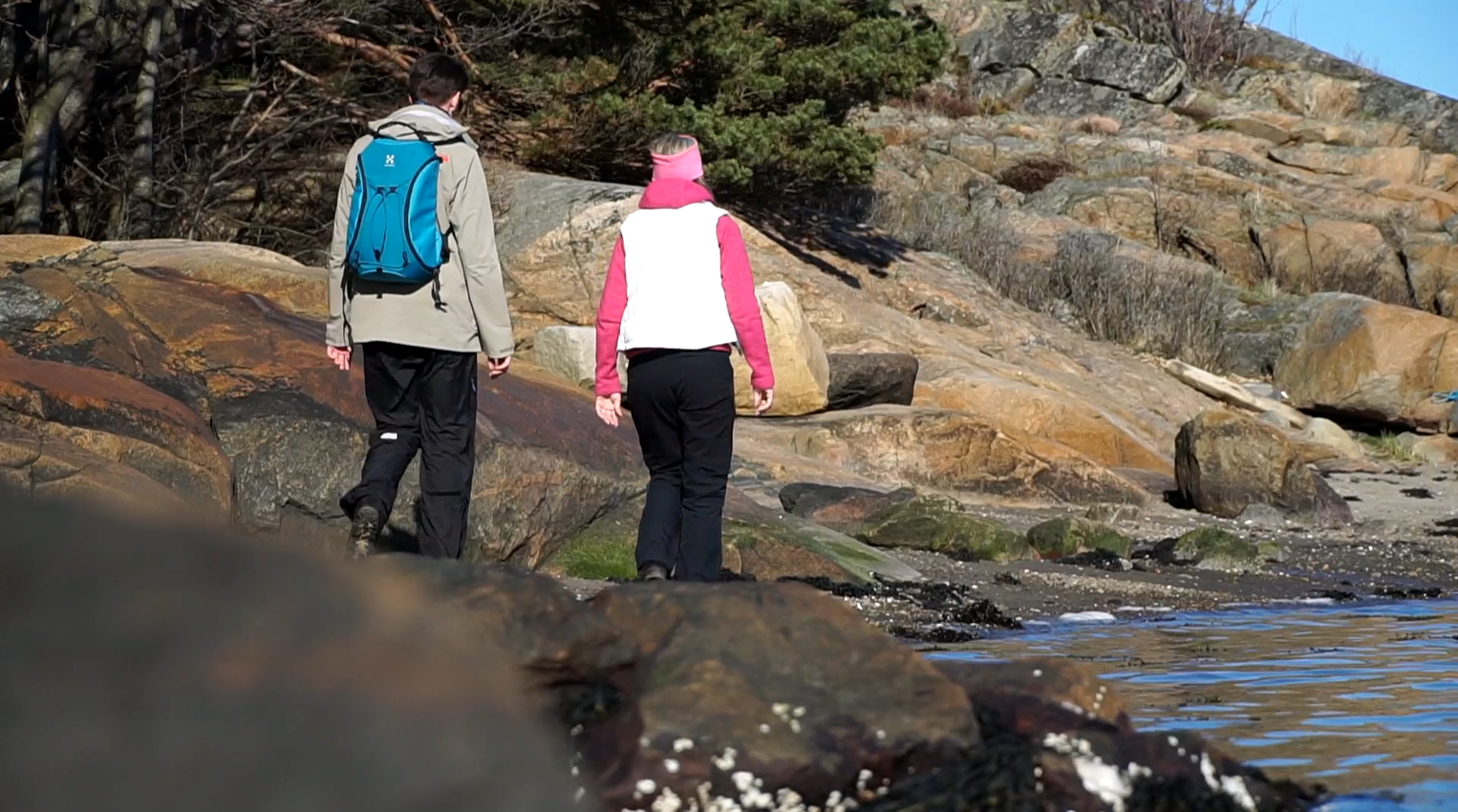 Nötholmen naturreservat