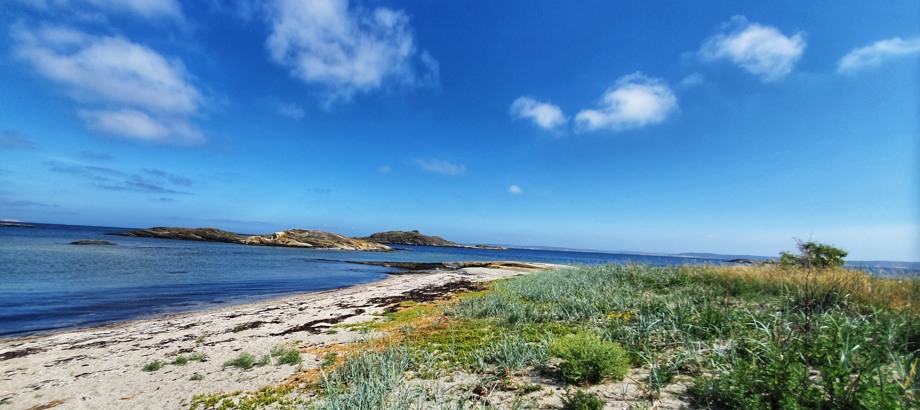 Bild från Kosterhavet