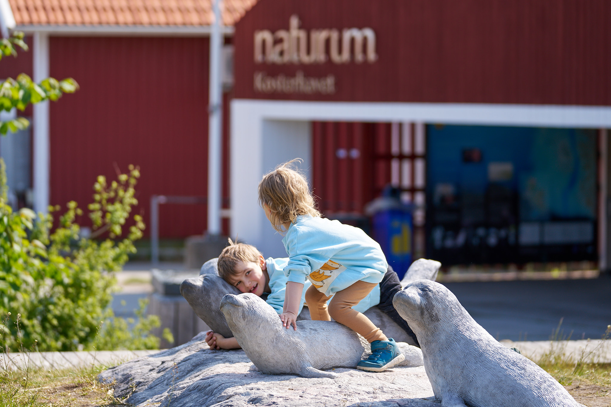 Barn leker utanför naturum Kosterhavet